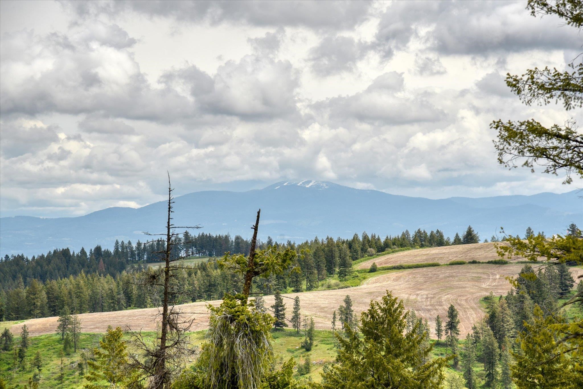 Nka West Bernhill Road Spokane, WA 99208 - Photo 22 of 42