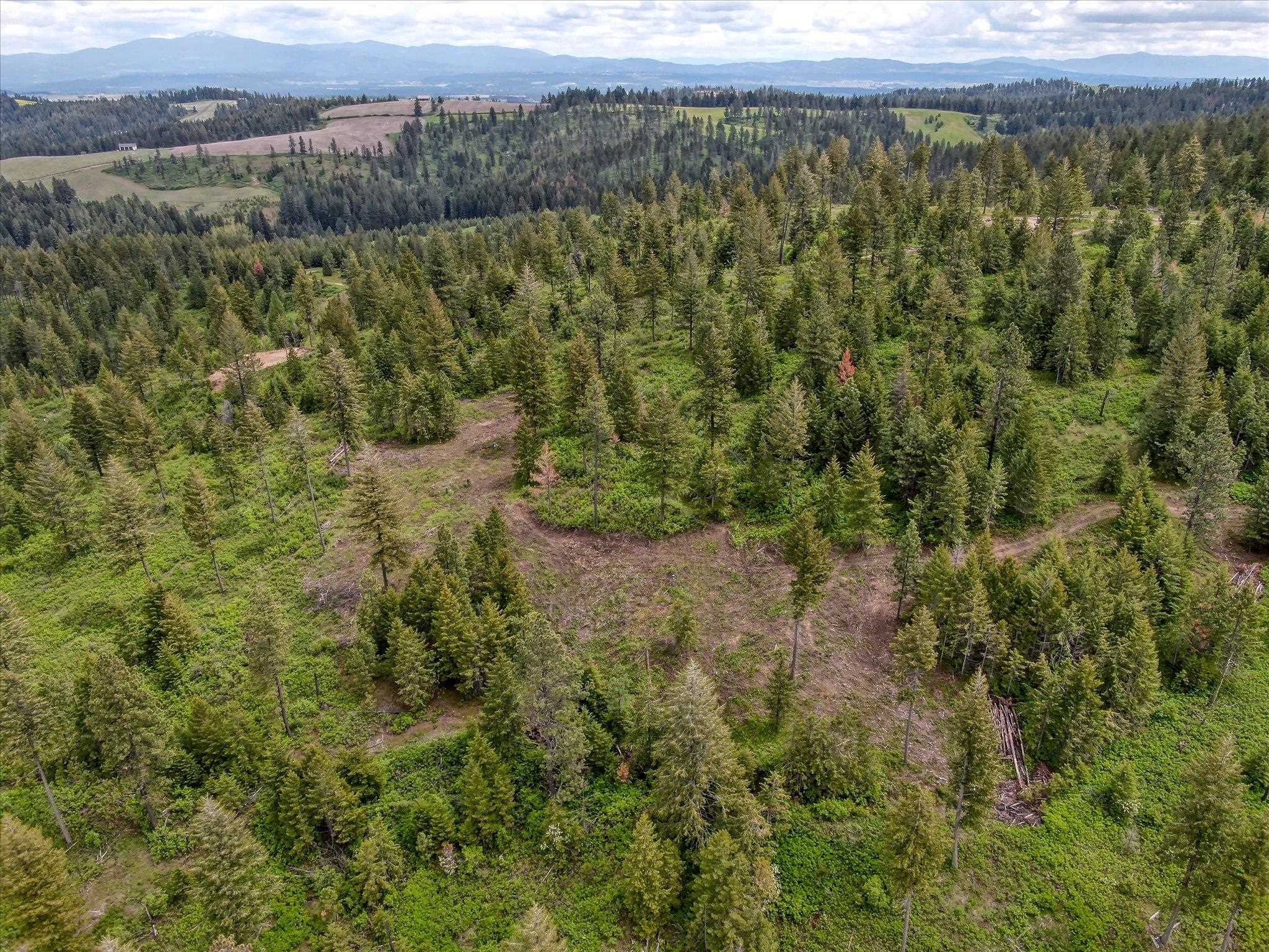 Nka West Bernhill Road Spokane, WA 99208 - Photo 24 of 42