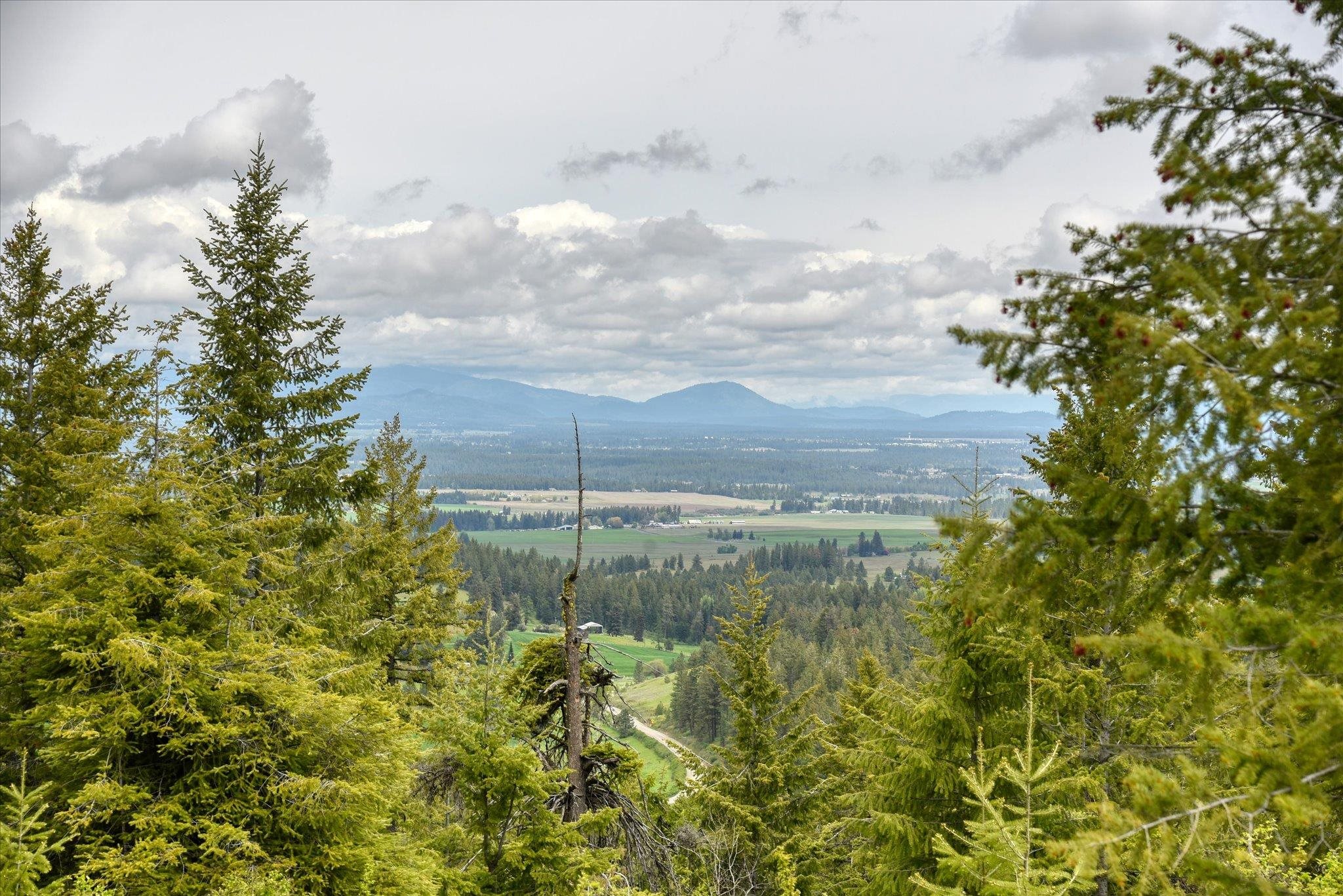Nka West Bernhill Road Spokane, WA 99208 - Photo 27 of 42