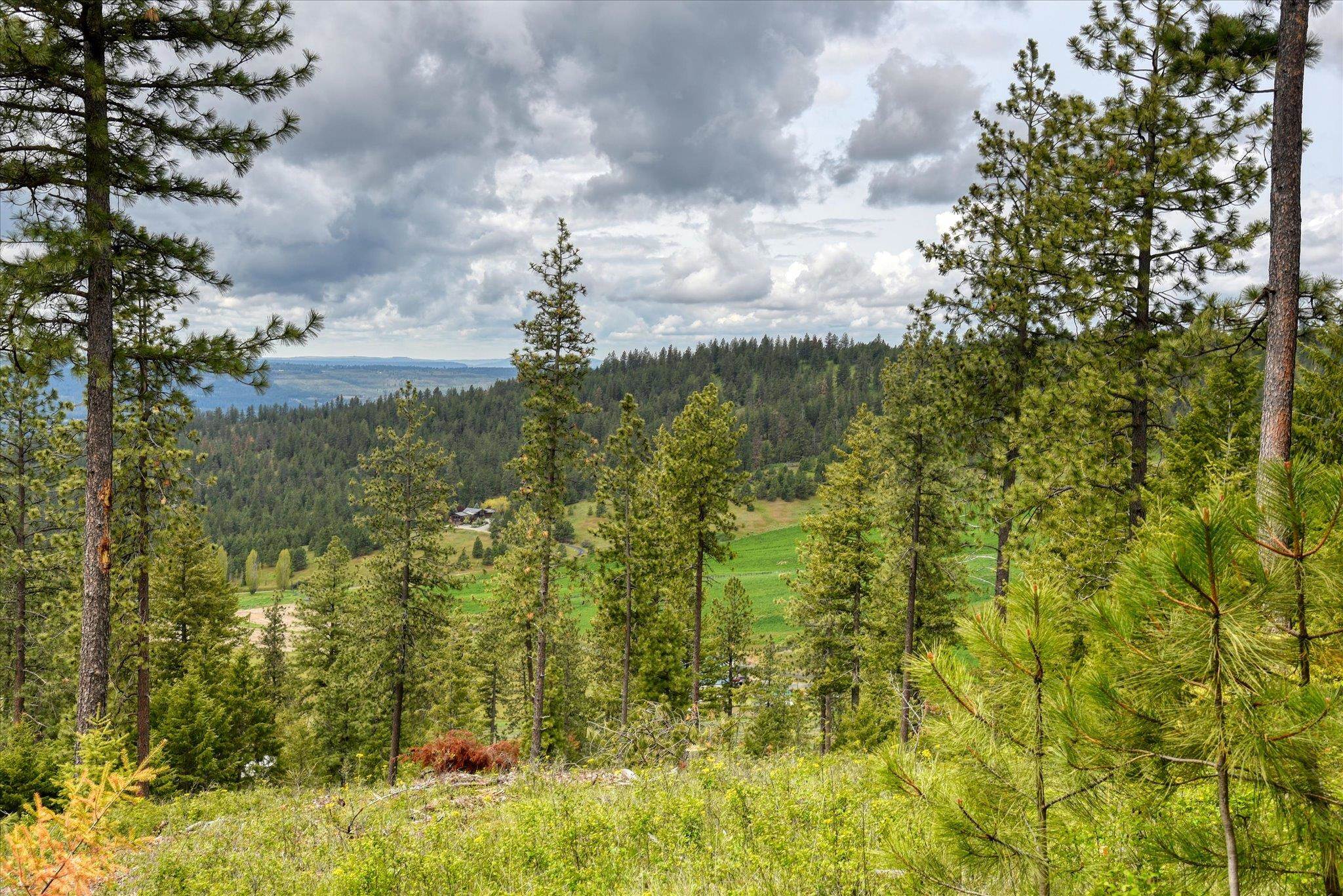 Nka West Bernhill Road Spokane, WA 99208 - Photo 30 of 42