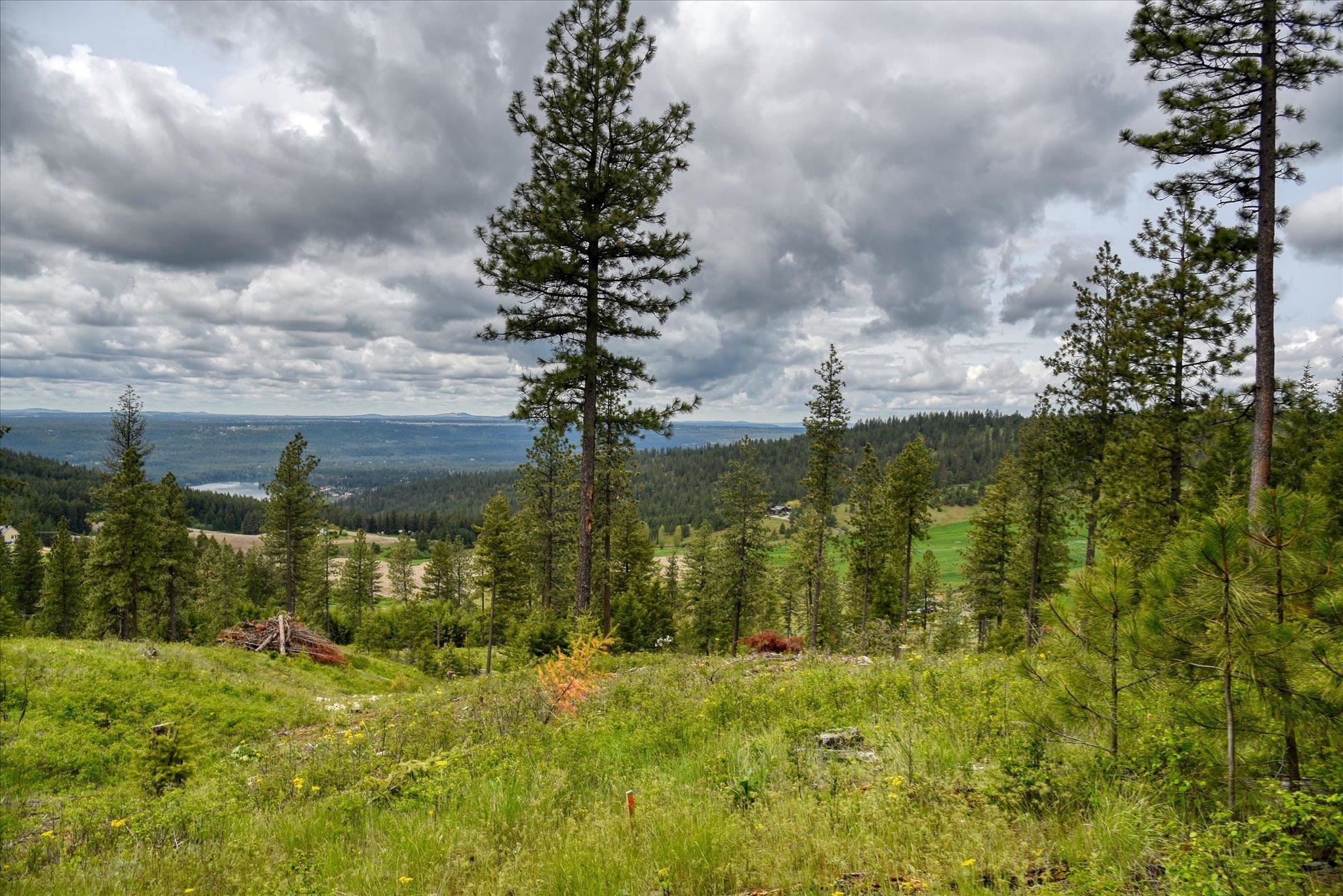 Nka West Bernhill Road Spokane, WA 99208 - Photo 31 of 42