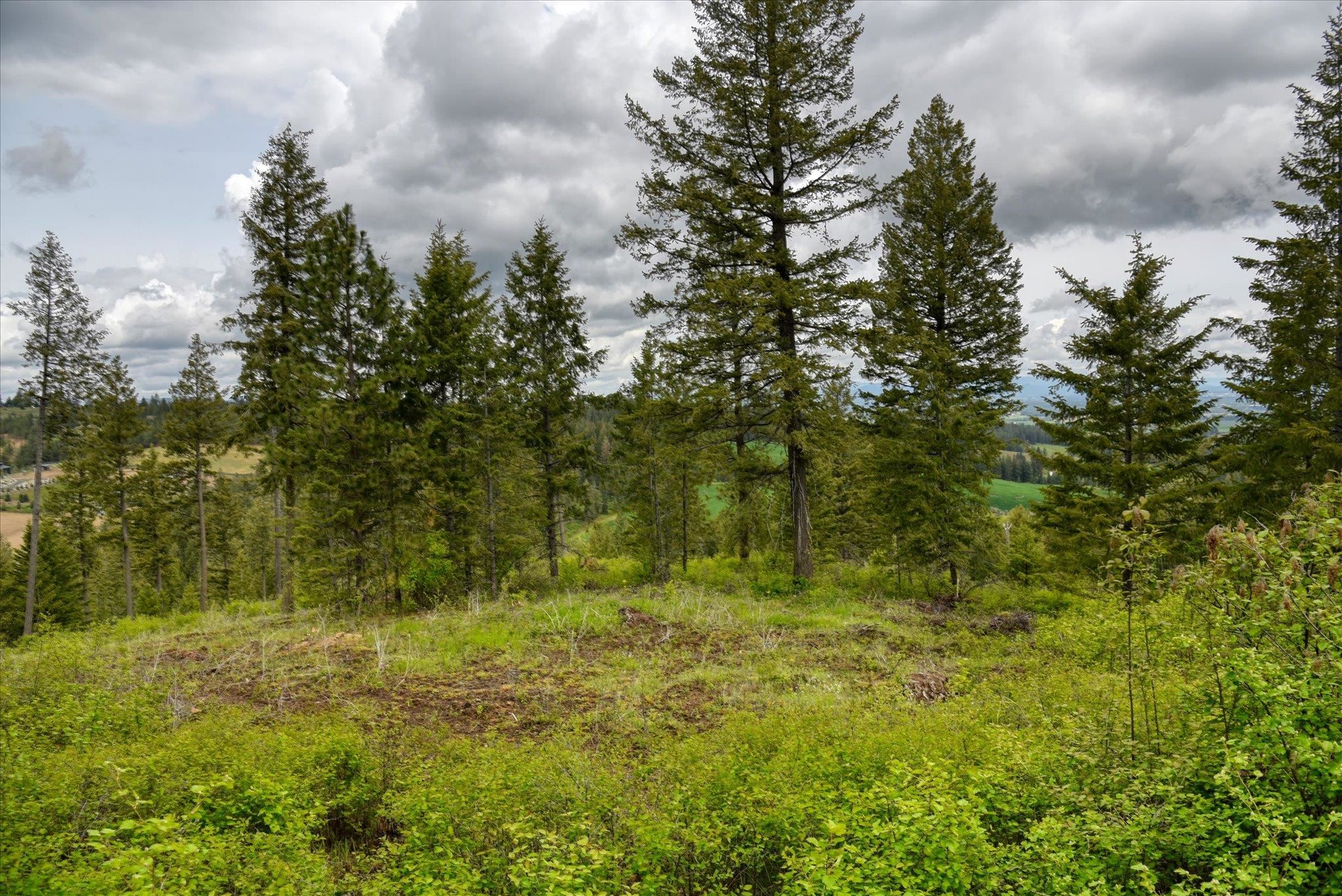 Nka West Bernhill Road Spokane, WA 99208 - Photo 34 of 42
