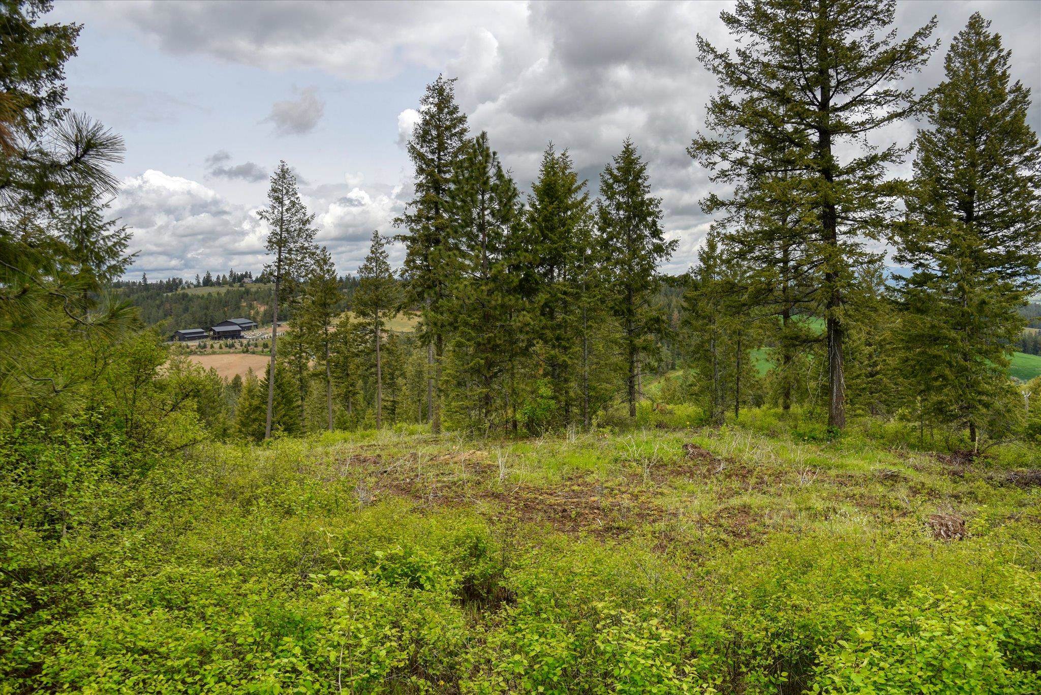 Nka West Bernhill Road Spokane, WA 99208 - Photo 35 of 42