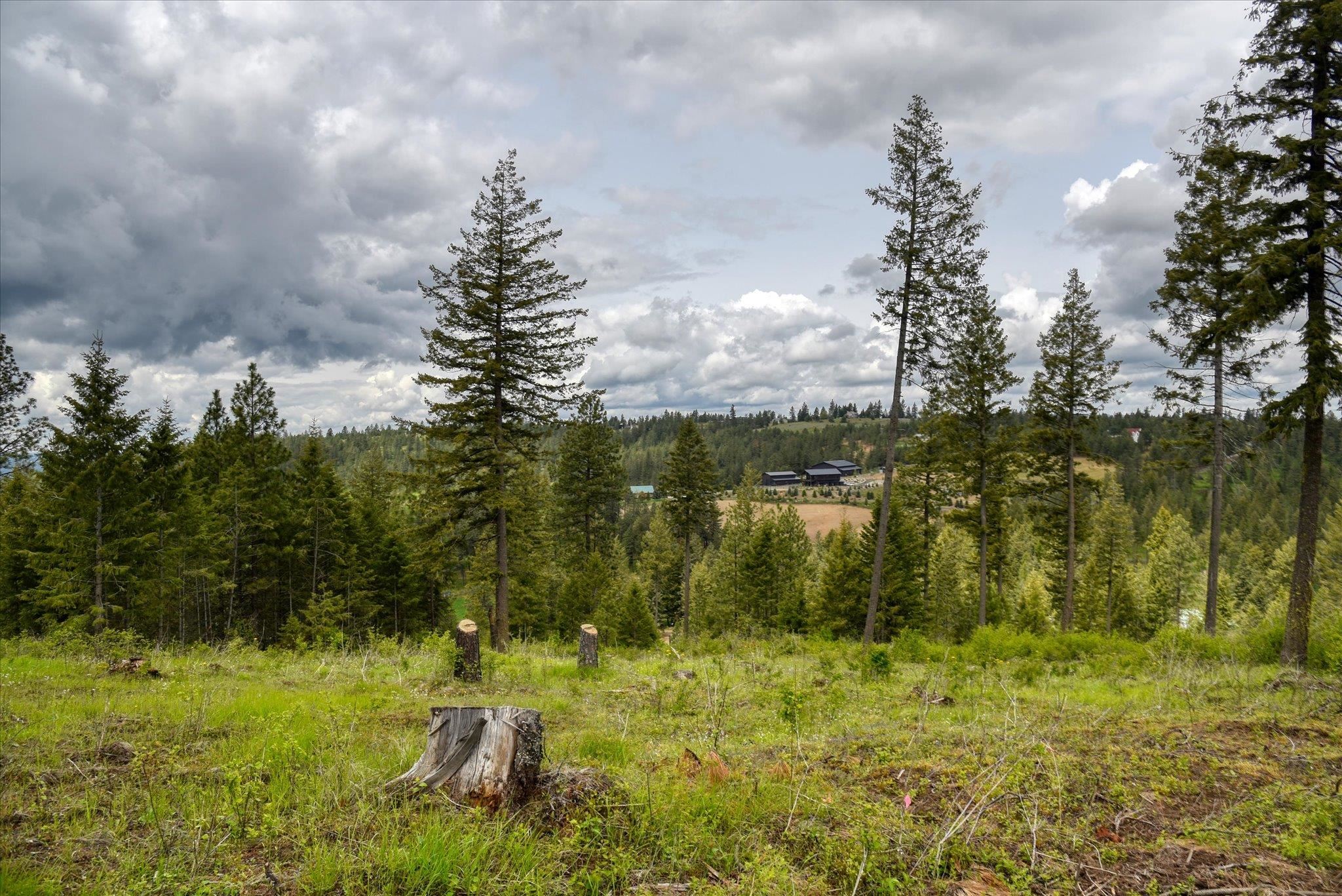 Nka West Bernhill Road Spokane, WA 99208 - Photo 36 of 42