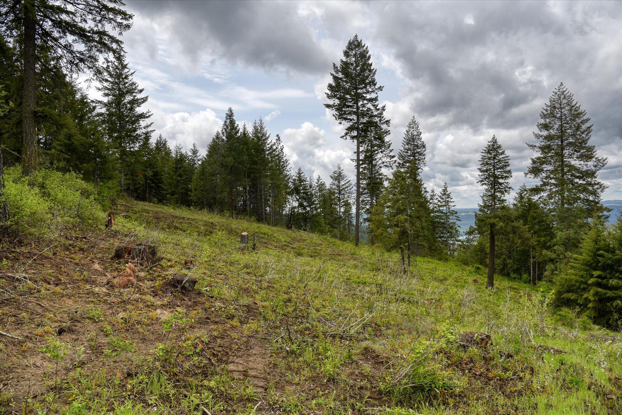 Nka West Bernhill Road Spokane, WA 99208 - Photo 37 of 42
