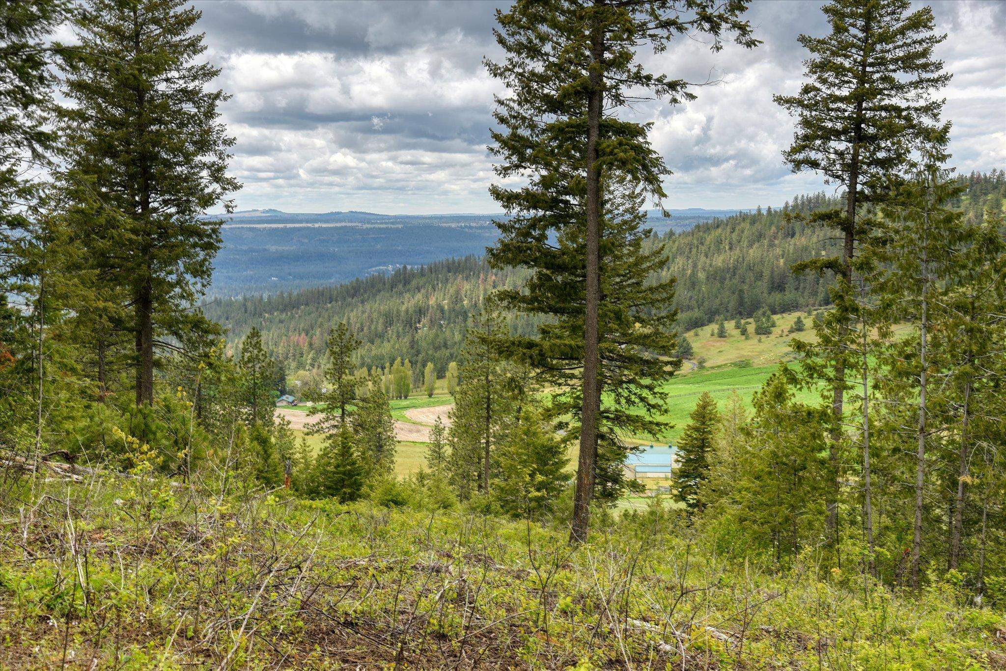 Nka West Bernhill Road Spokane, WA 99208 - Photo 39 of 42