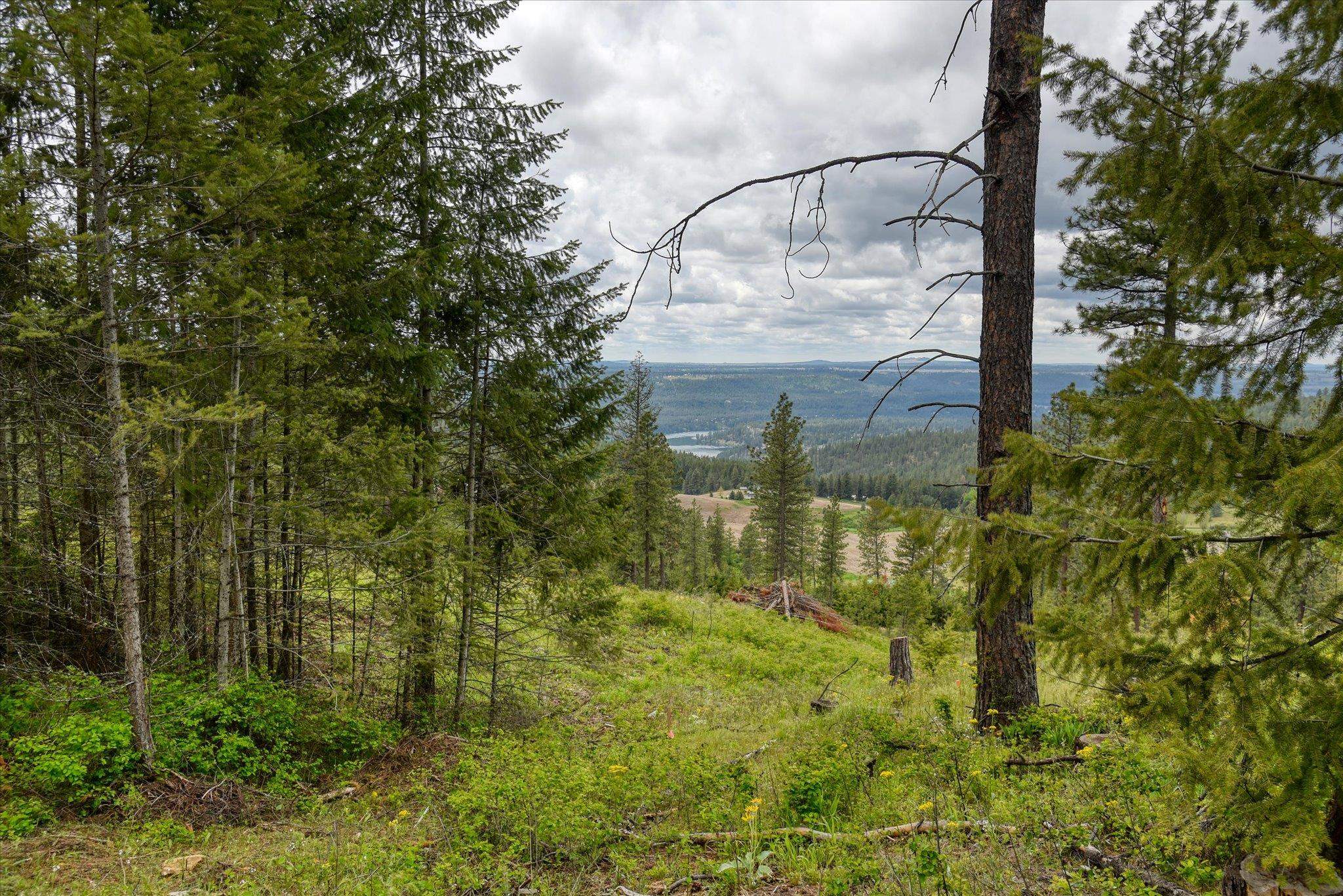 Nka West Bernhill Road Spokane, WA 99208 - Photo 40 of 42