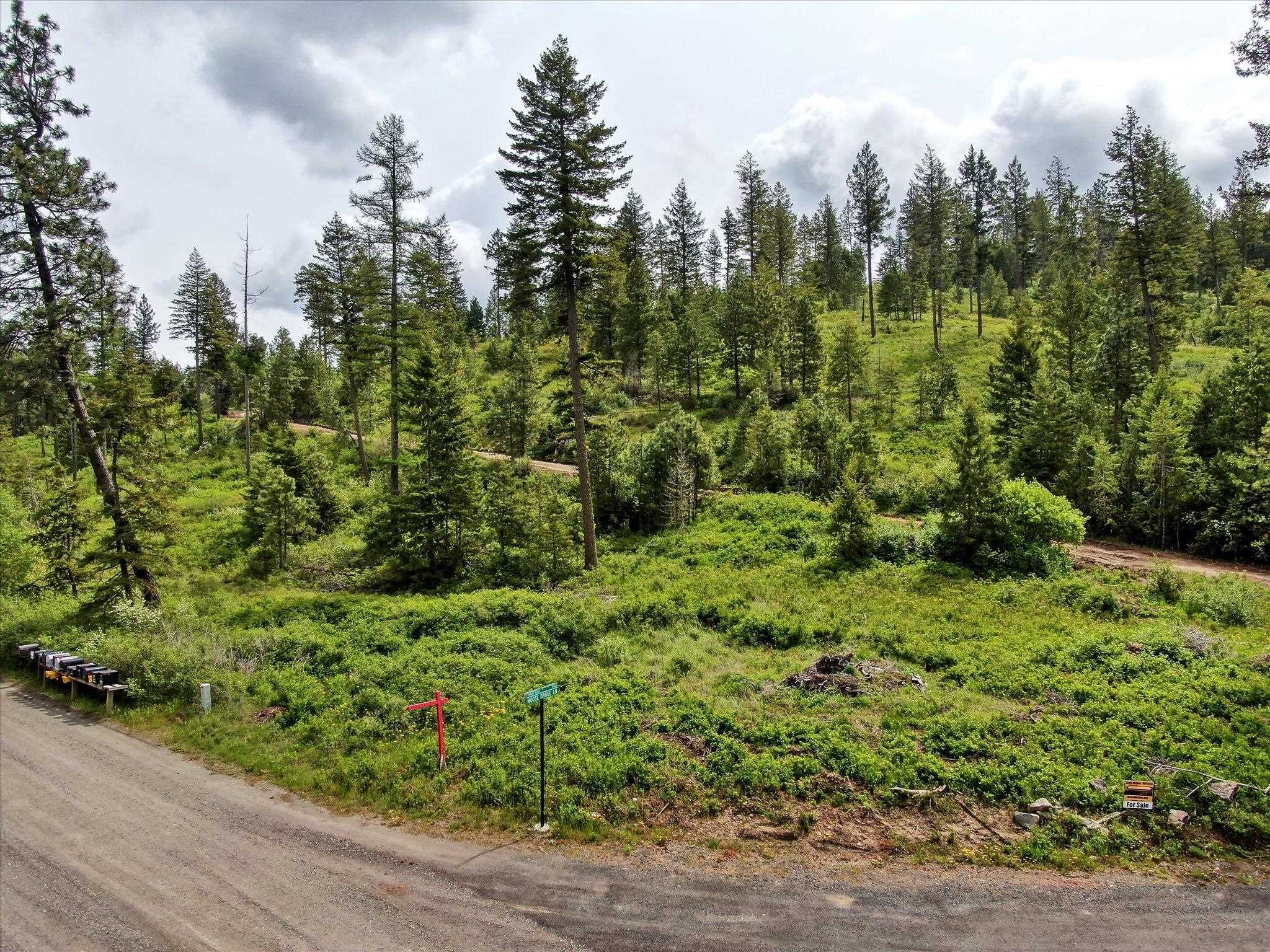 Nka West Bernhill Road Spokane, WA 99208 - Photo 4 of 42