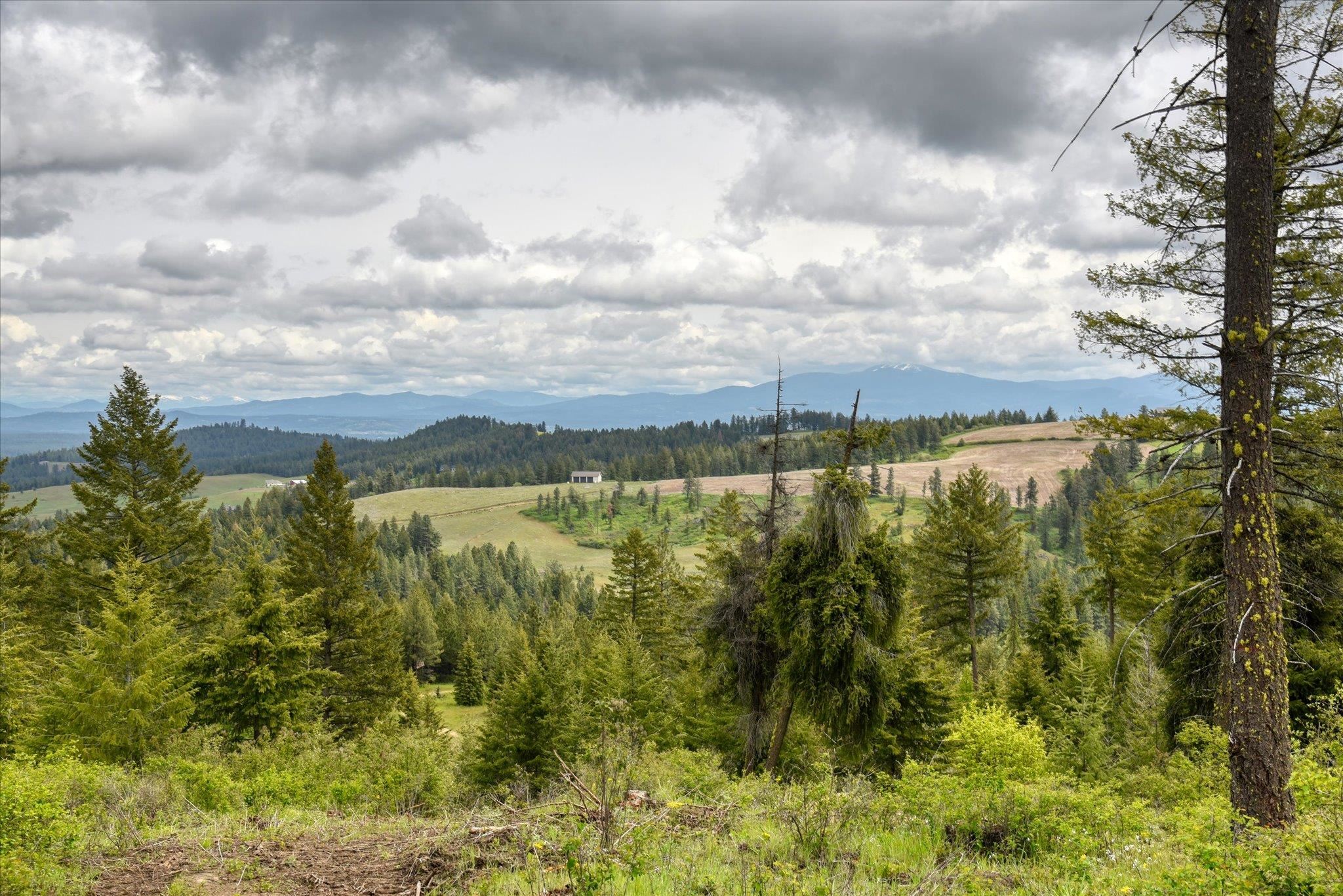 Nka West Bernhill Road Spokane, WA 99208 - Photo 42 of 42
