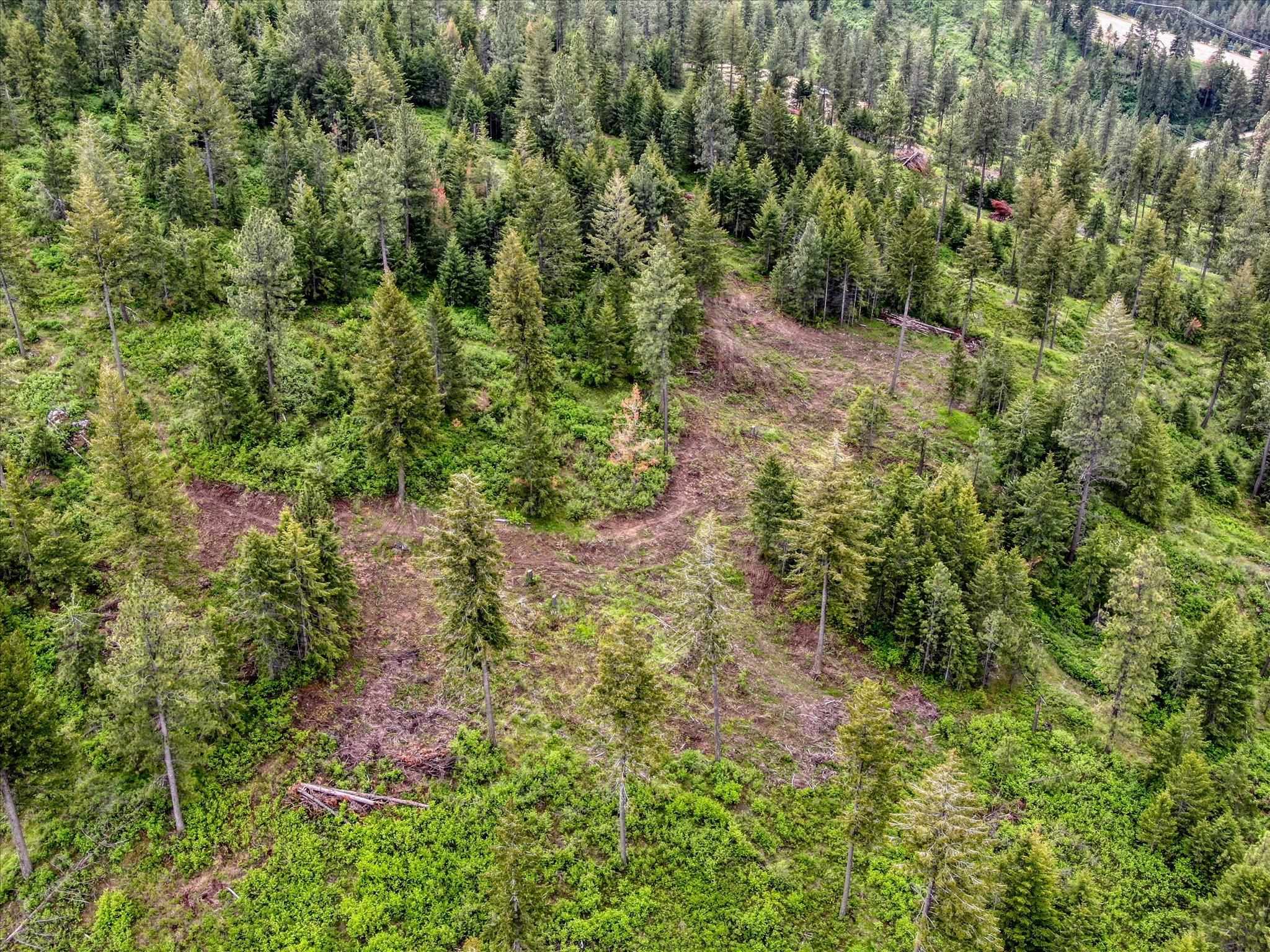 Nka West Bernhill Road Spokane, WA 99208 - Photo 10 of 42