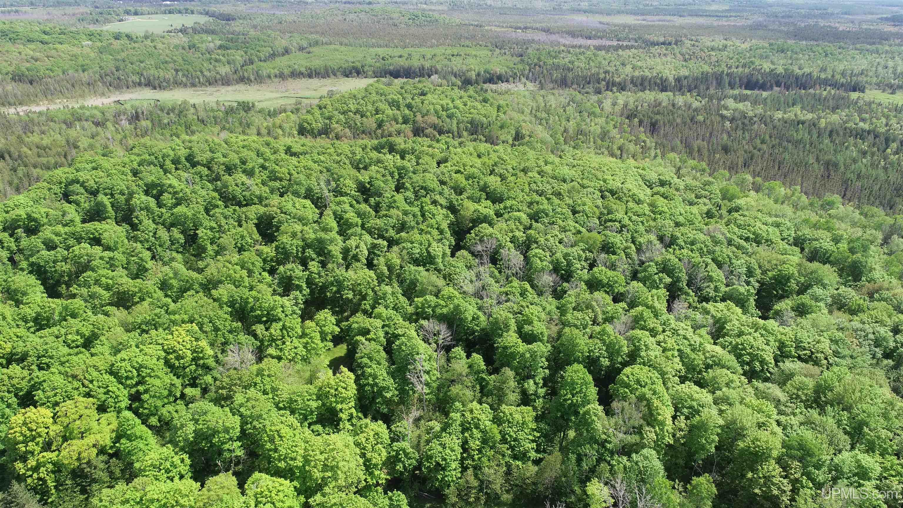 Tbd Tbd Banking Ground Road Germfask, MI 49836 - Photo 7 of 36