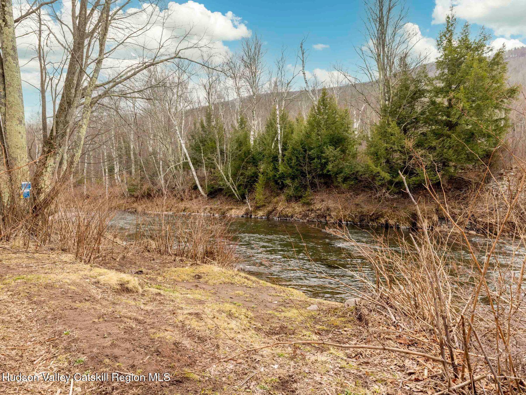 97 Carrington Road Windham, NY 12496 - Photo 36 of 44 photo_online_048