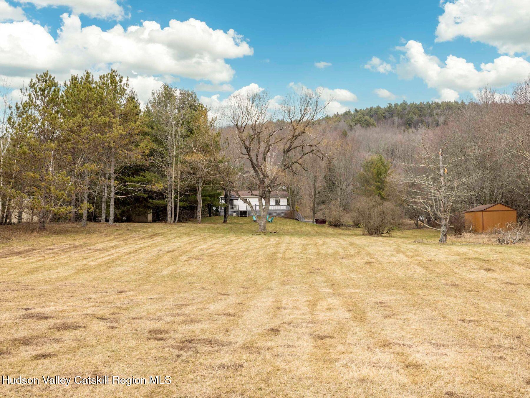 97 Carrington Road Windham, NY 12496 - Photo 37 of 44 photo_online_045