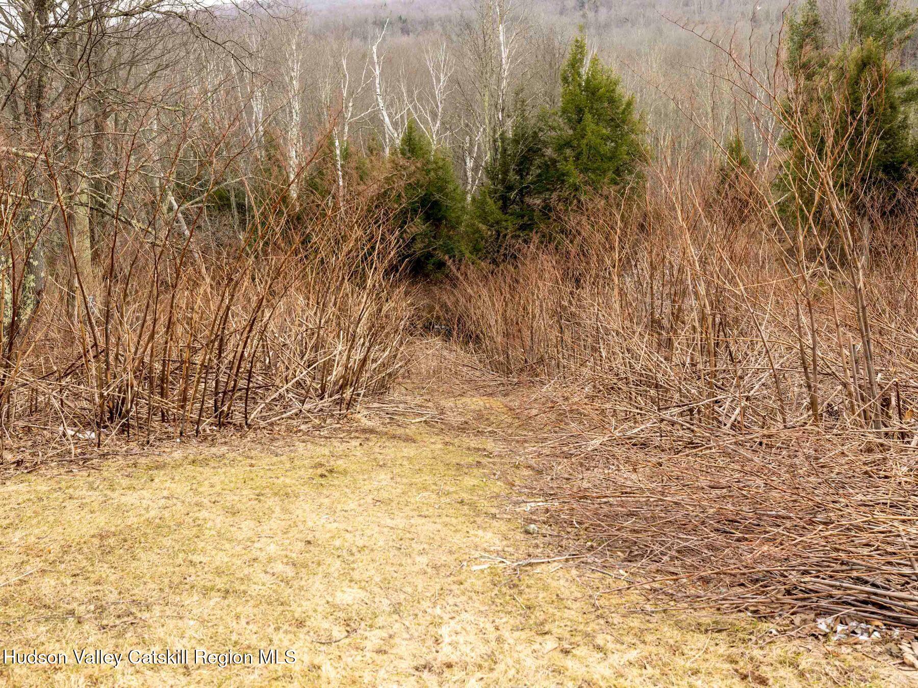 97 Carrington Road Windham, NY 12496 - Photo 39 of 44 photo_online_047