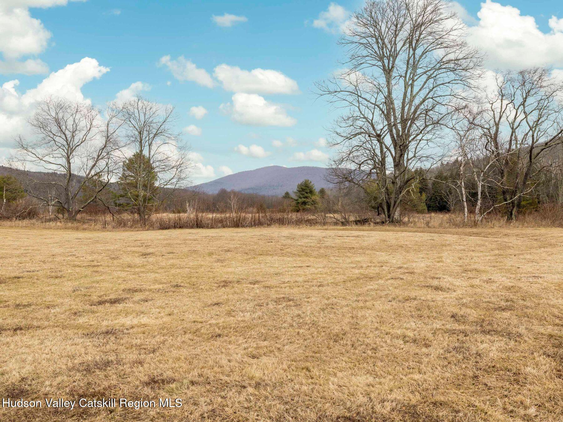 97 Carrington Road Windham, NY 12496 - Photo 40 of 44 photo_online_051