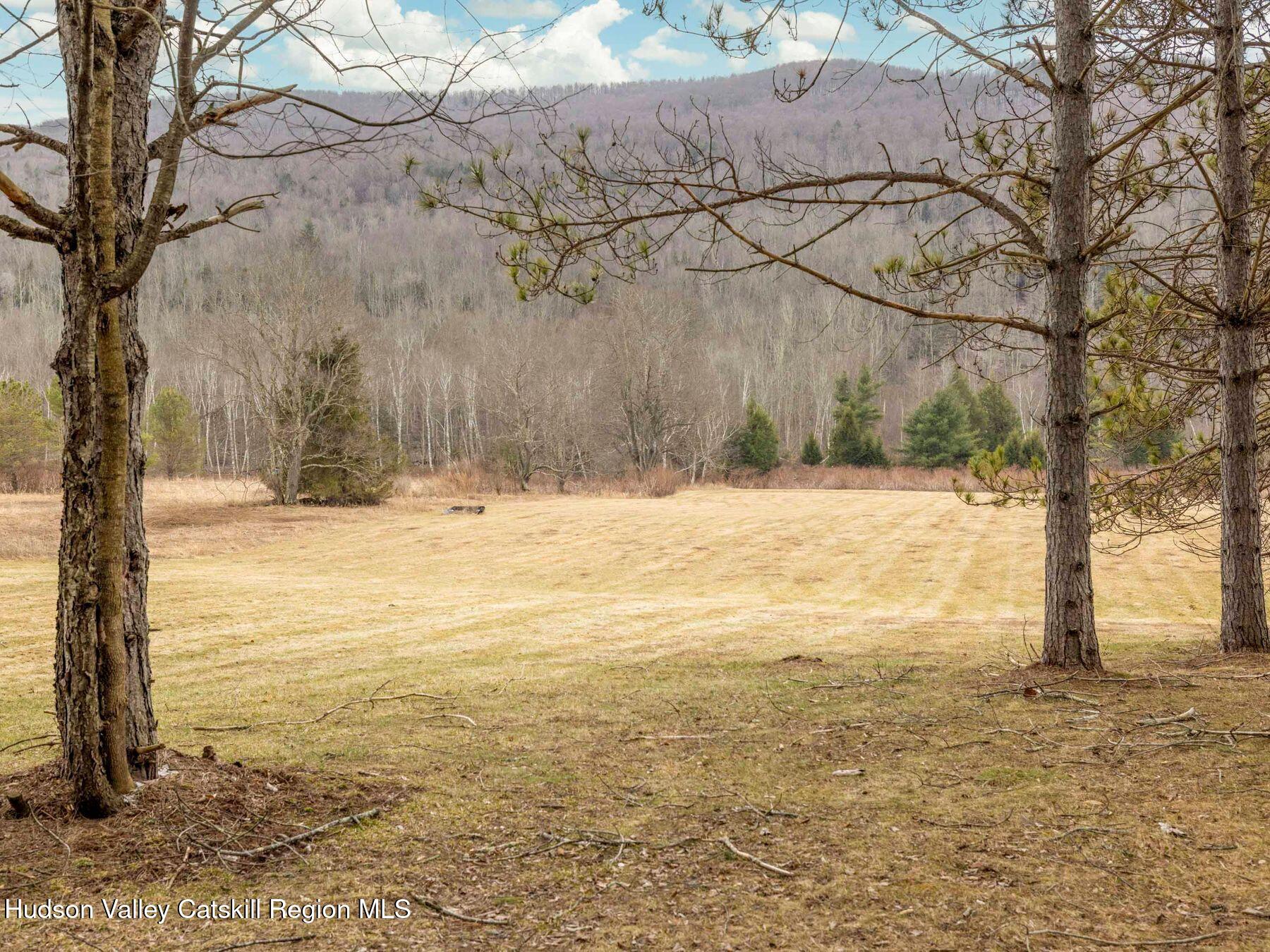 97 Carrington Road Windham, NY 12496 - Photo 42 of 44 photo_online_044