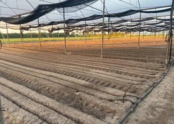 a view of a swimming pool with a lawn chairs