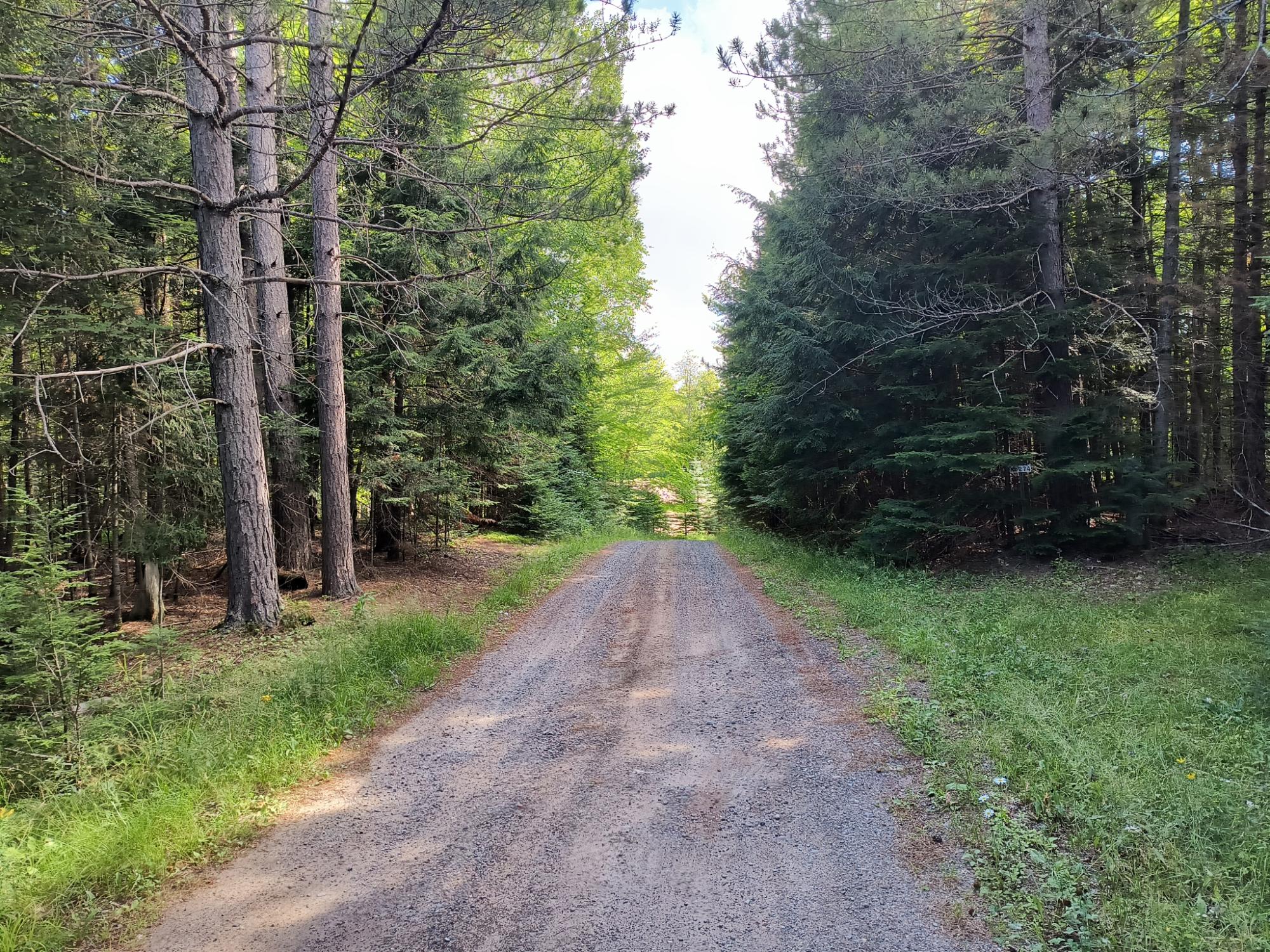 N6274 Beatons Lake Road Watersmeet, MI 49969 - Photo 16 of 17 Gallery Image 16
