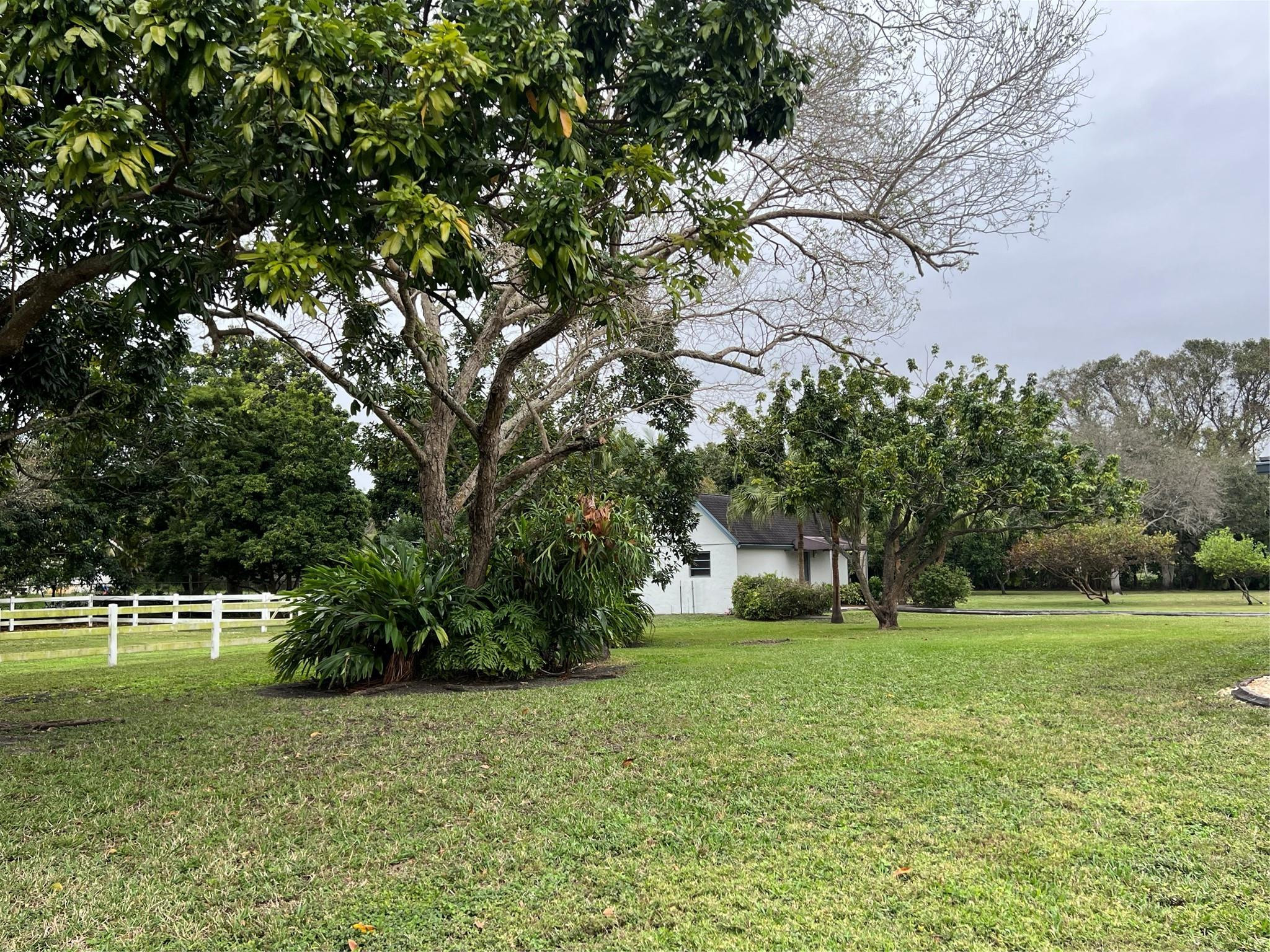 17781 Southwest 52nd Court Southwest Ranches, FL 33331 - Photo 8 of 39 a view of a park with large trees