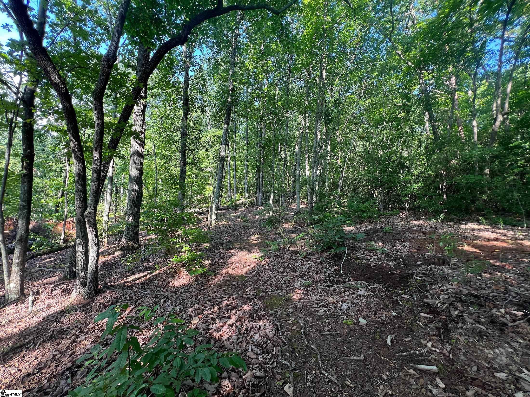 0 Beulah Land Way Pickens, SC 29671 - Photo 3 of 7