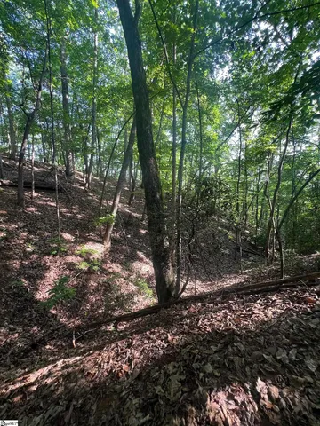 $85,000 | 0 Beulah Land Way, Pickens, SC 29671