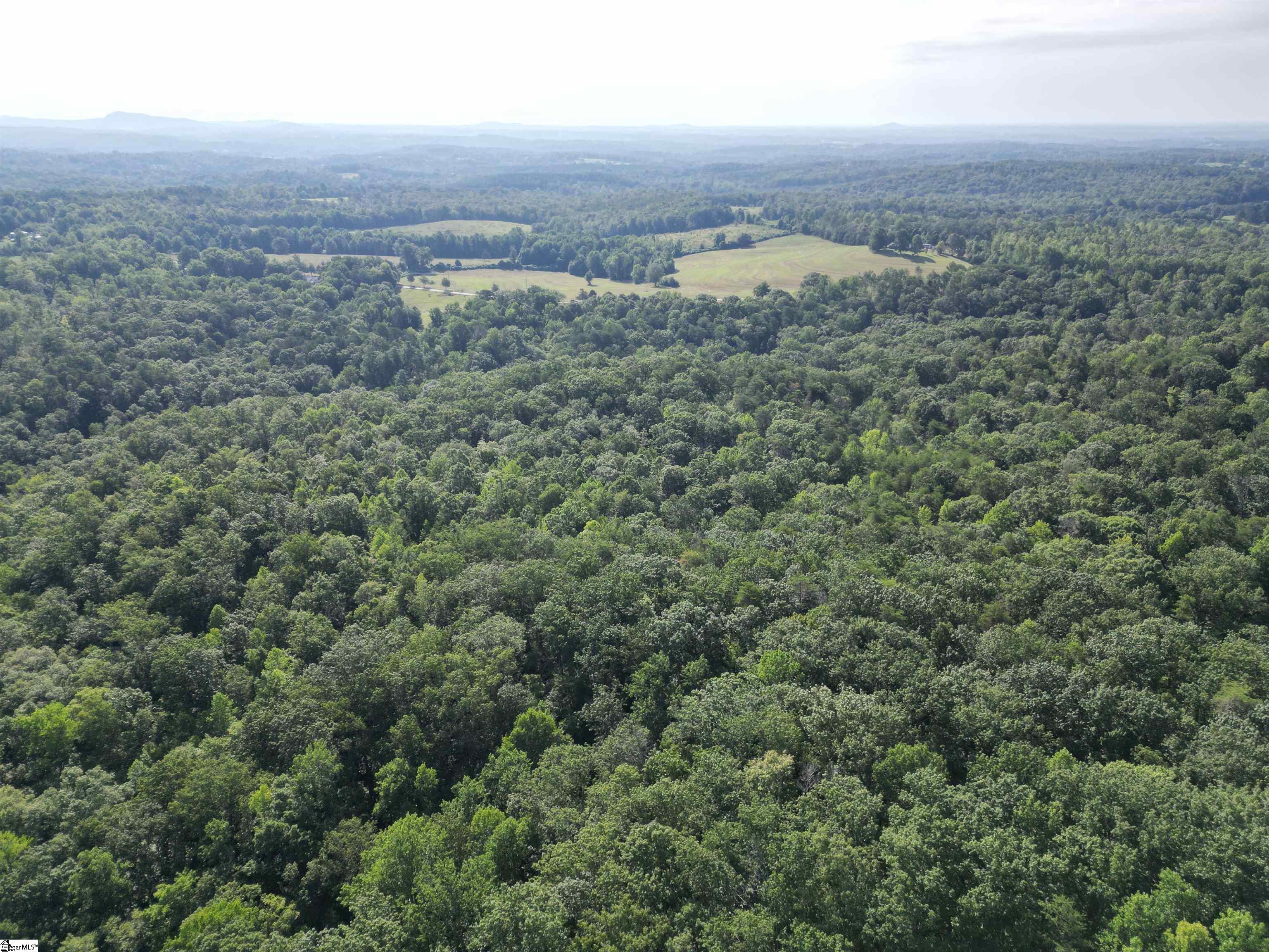 0 Beulah Land Way Pickens, SC 29671 - Photo 7 of 7