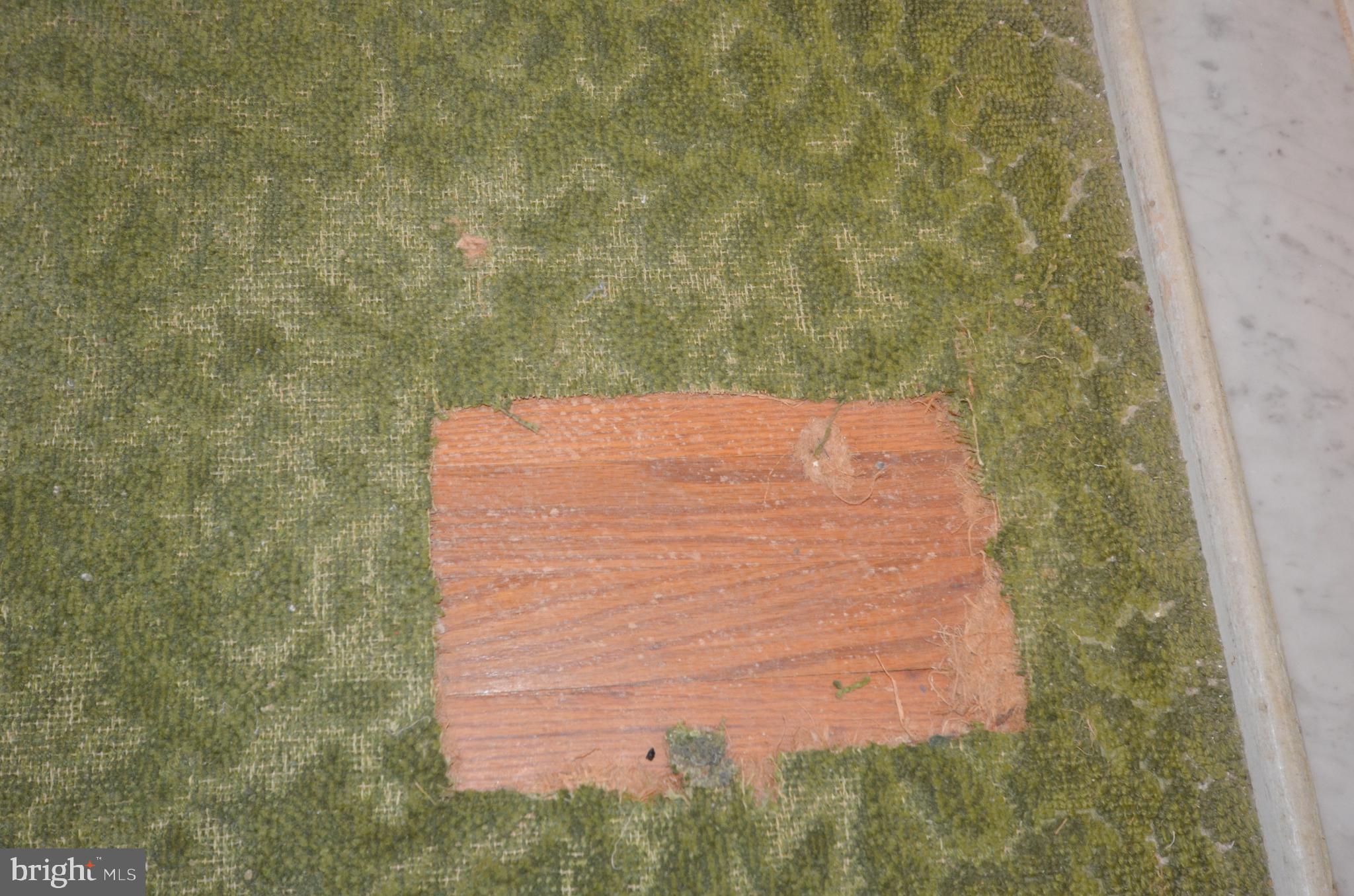 45 Hetzel Road Ridley Park, PA 19078 - Photo 20 of 25 Hardwood Floor under Carpet
