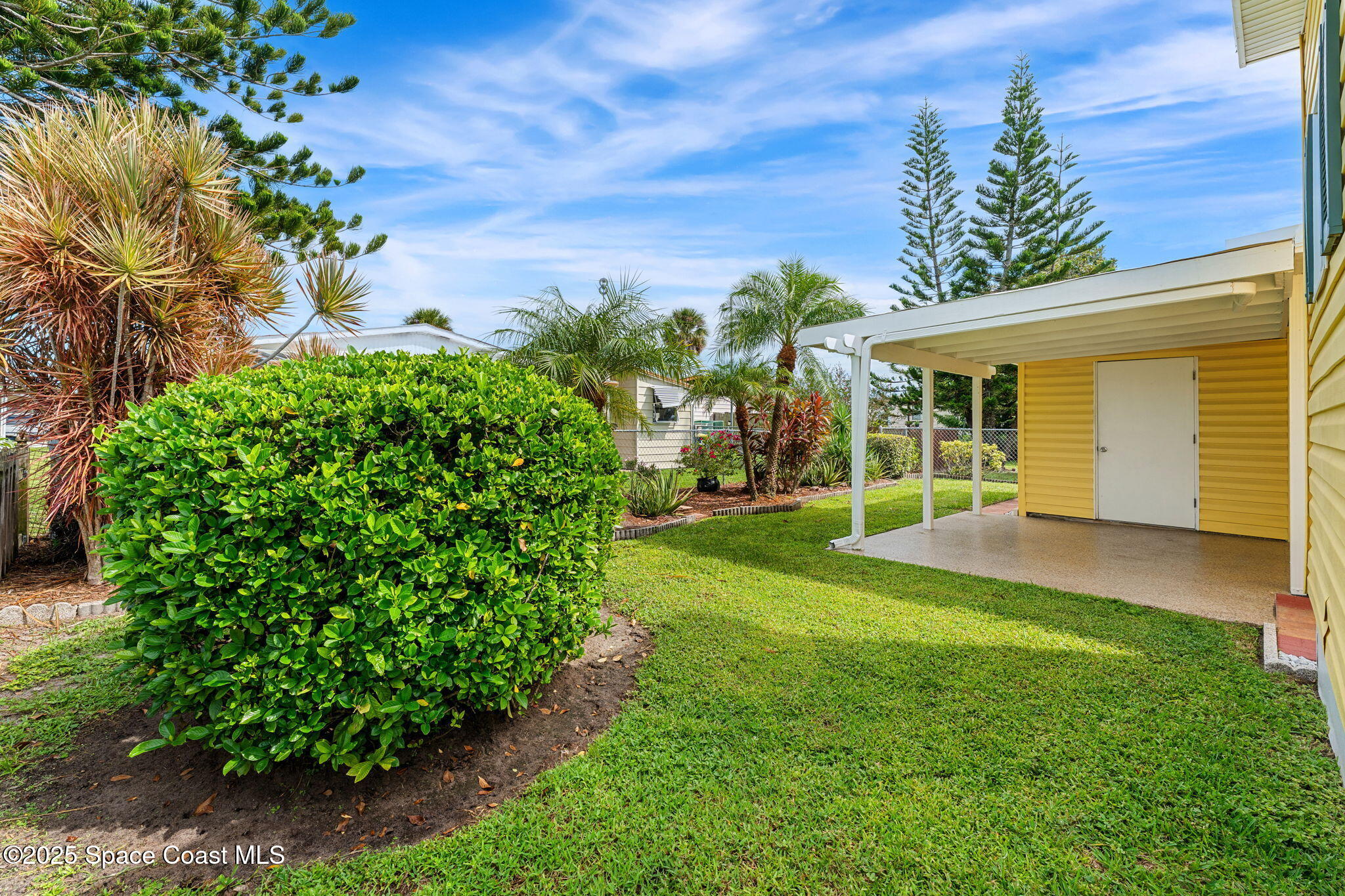 1885 Mango Street Northeast Palm Bay, FL 32905 - Photo 22 of 36 a view of a backyard with plants