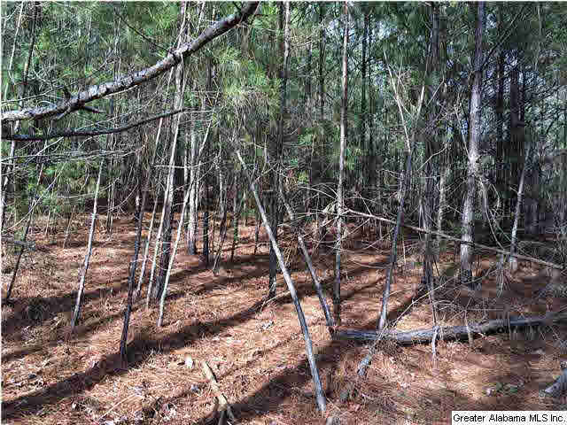 734 Valley Grove Road, Unit 15 4 ACR Remlap, AL 35133 - Photo 8 of 32