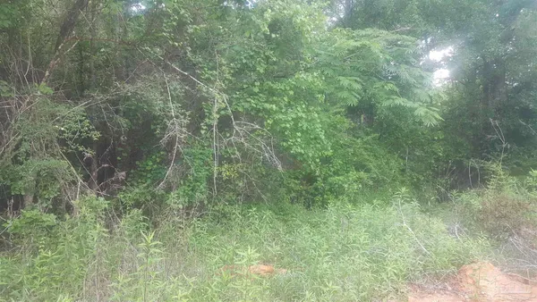 $43,500 | East Chipper Road, Cantonment, FL 32533