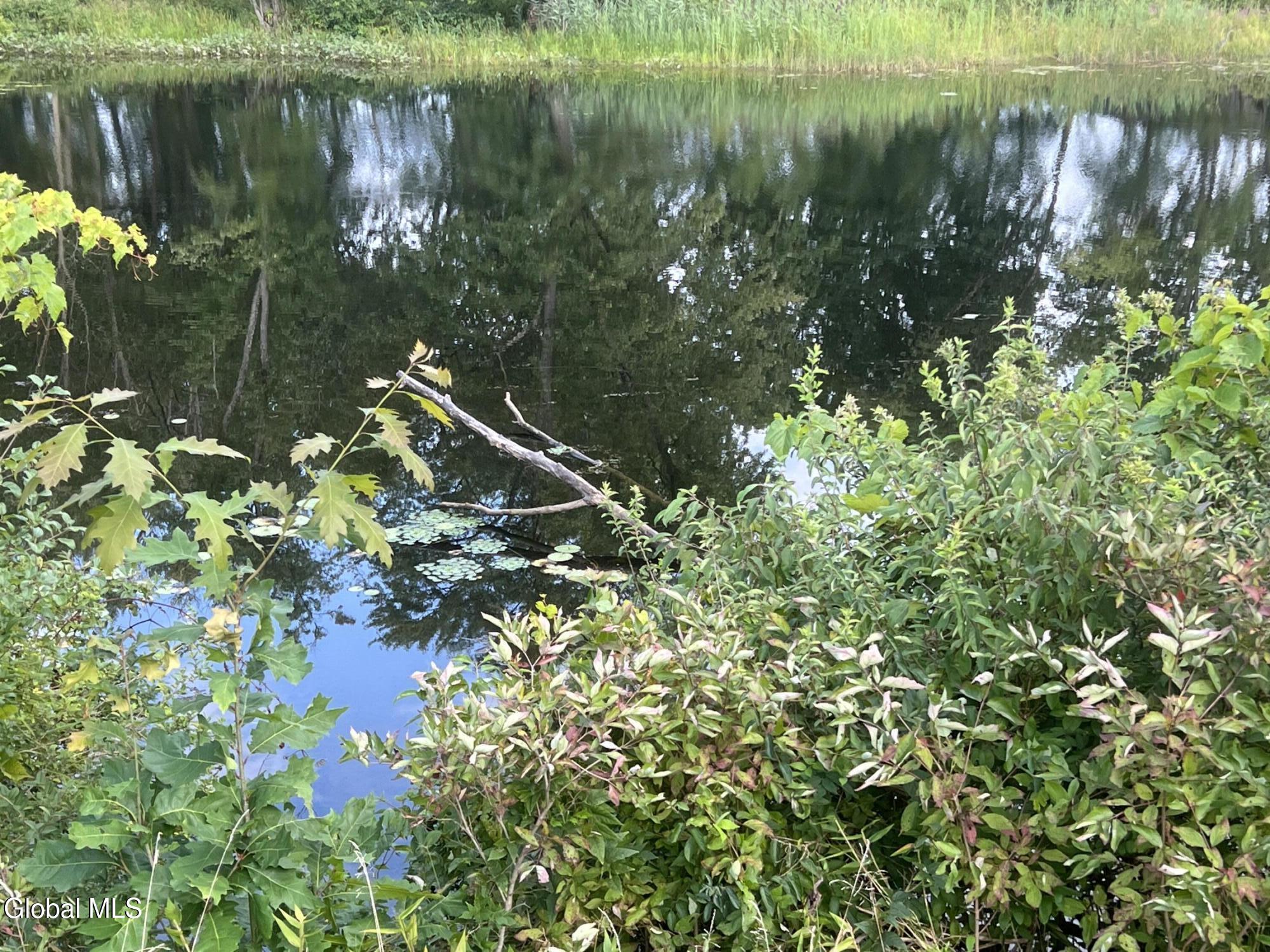 1435 West River Road Northumberland, NY 12831 - Photo 3 of 12 IMG_1498 (1)