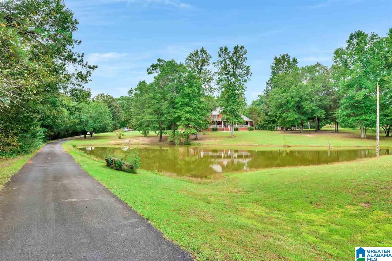 7911 Alliance Short Creek Road Mulga, AL 35118 - Photo 46 of 50