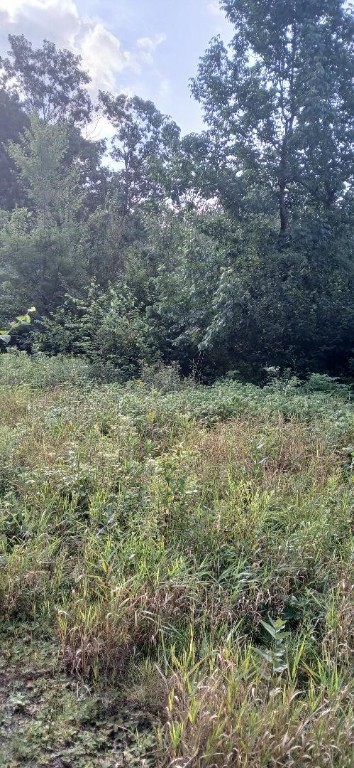 10-ac River Road Boyd, WI 54726 - Photo 5 of 13