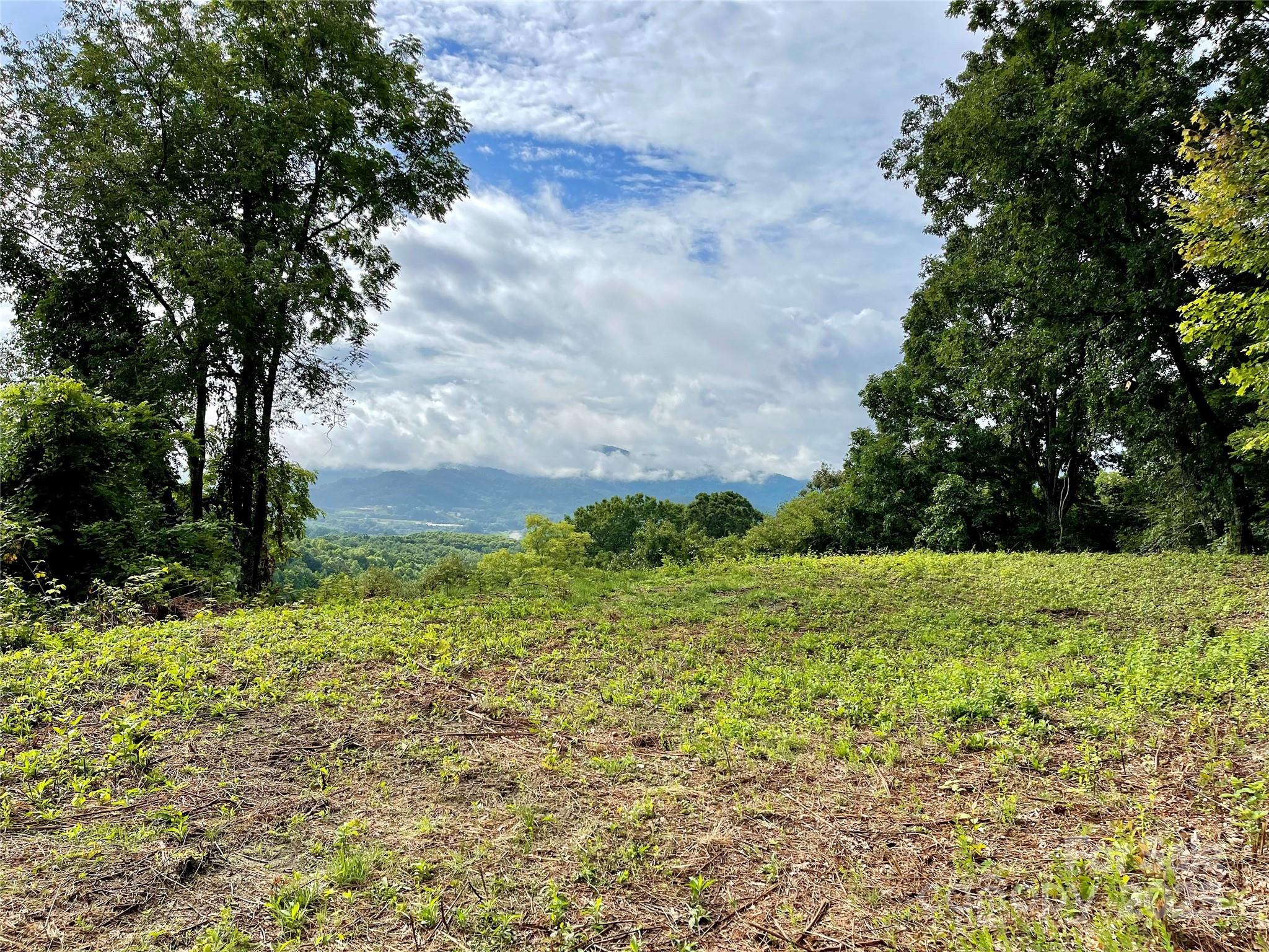 0 Rimesdale Way, Unit 36 Waynesville, NC 28785 - Photo 11 of 22