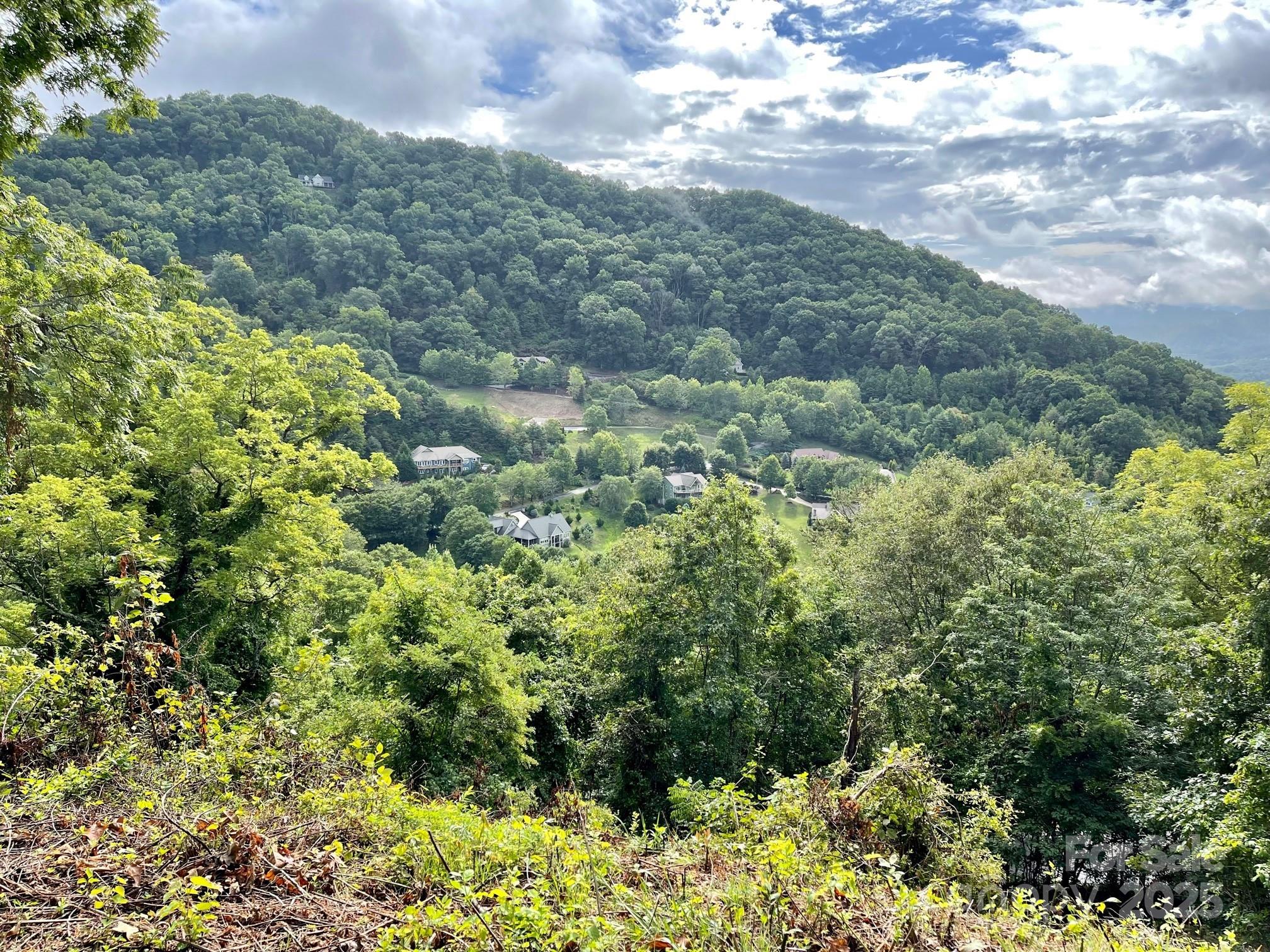 0 Rimesdale Way, Unit 36 Waynesville, NC 28785 - Photo 12 of 22