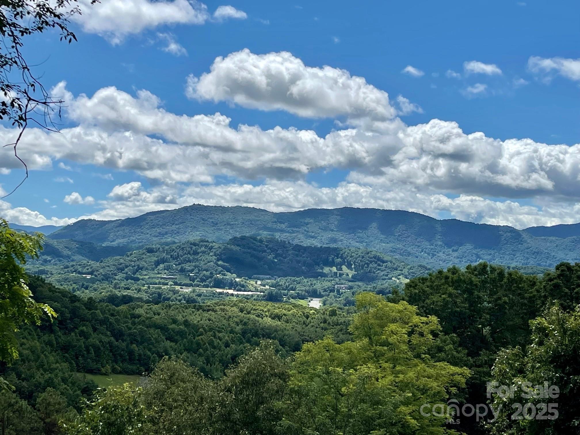 0 Rimesdale Way, Unit 36 Waynesville, NC 28785 - Photo 15 of 22