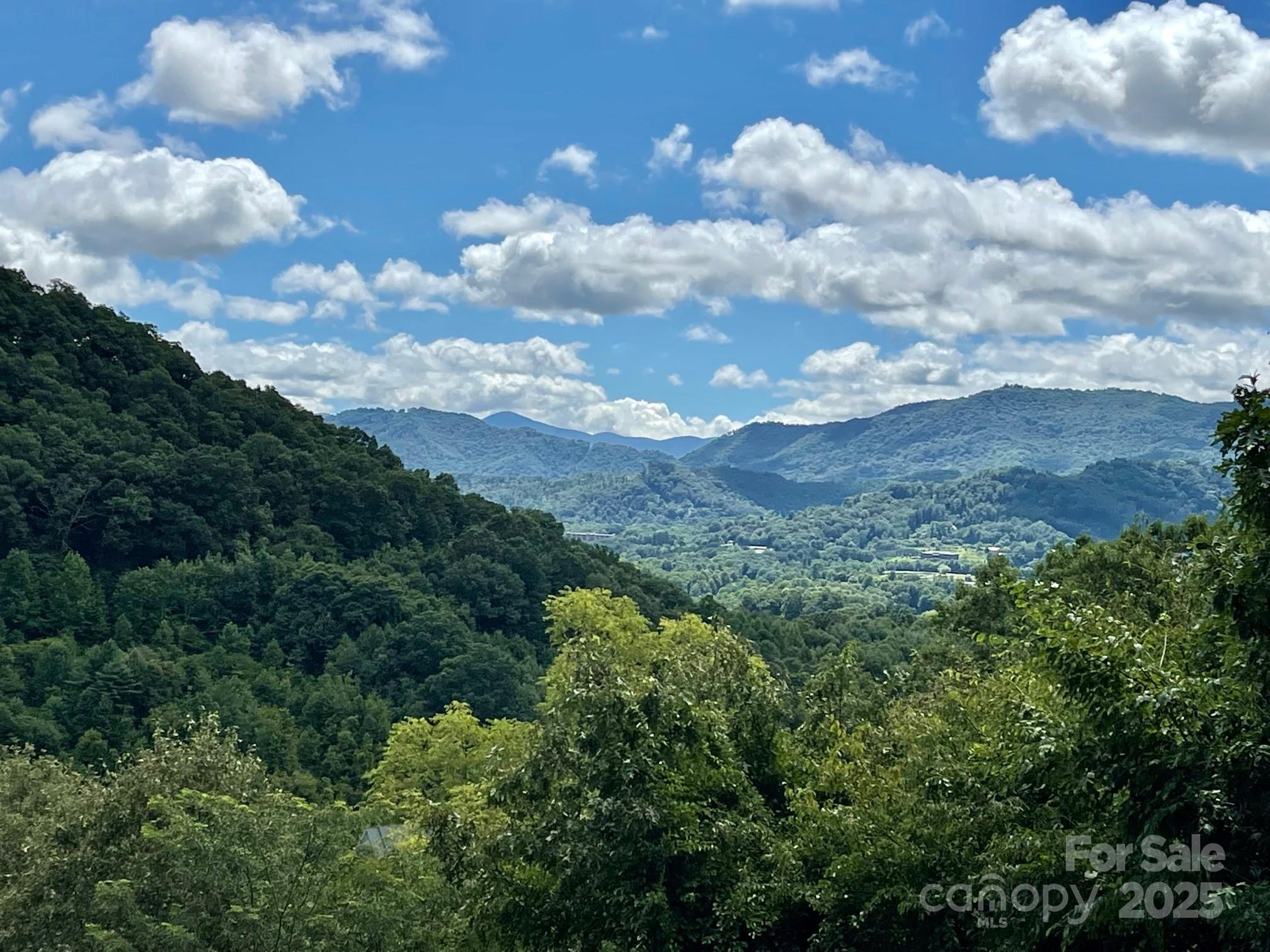 0 Rimesdale Way, Unit 36 Waynesville, NC 28785 - Photo 16 of 22