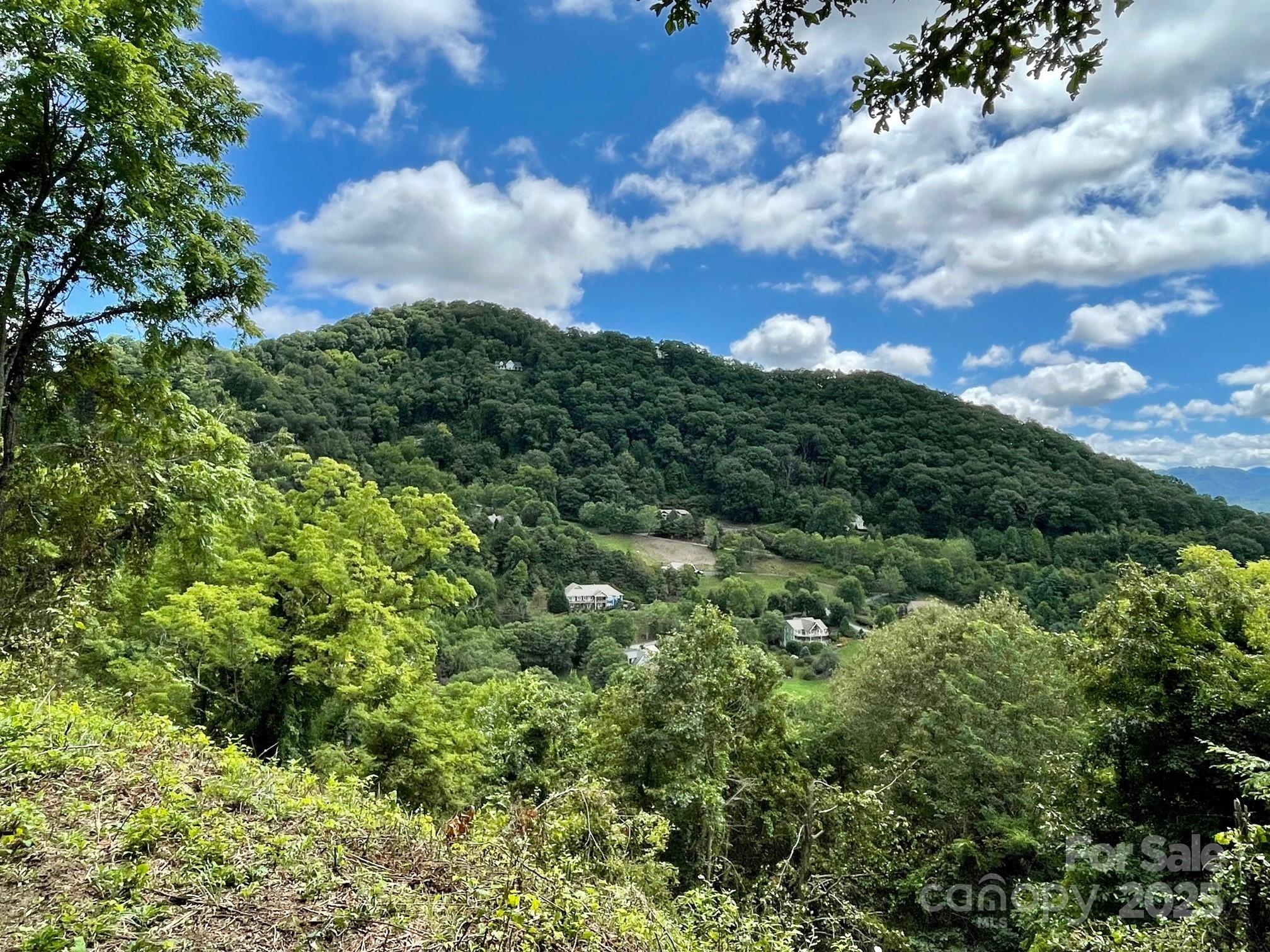0 Rimesdale Way, Unit 36 Waynesville, NC 28785 - Photo 17 of 22