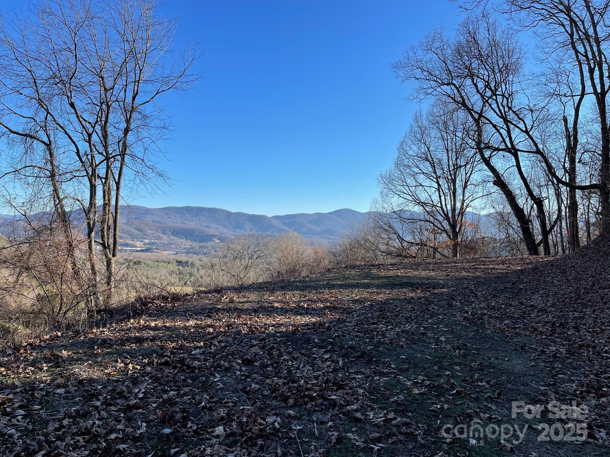0 Rimesdale Way, Unit 36 Waynesville, NC 28785 - Photo 20 of 22