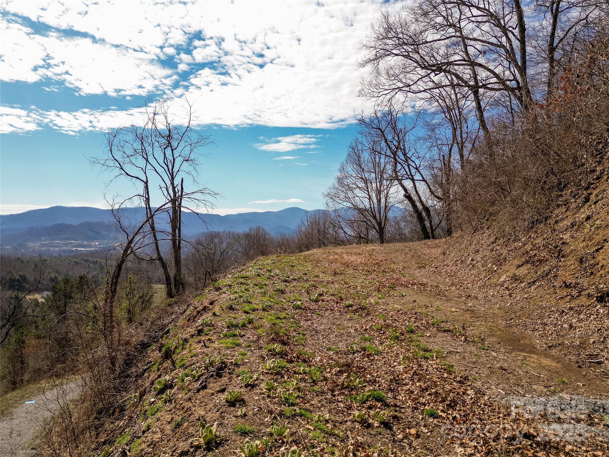 0 Rimesdale Way, Unit 36 Waynesville, NC 28785 - Photo 3 of 22