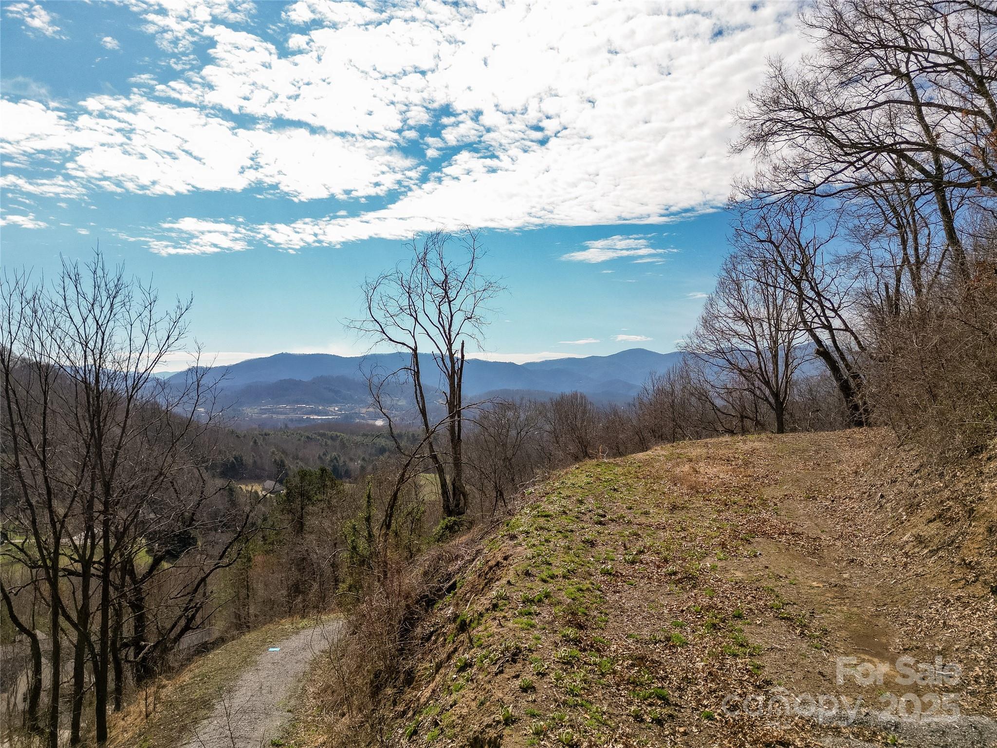 0 Rimesdale Way, Unit 36 Waynesville, NC 28785 - Photo 4 of 22