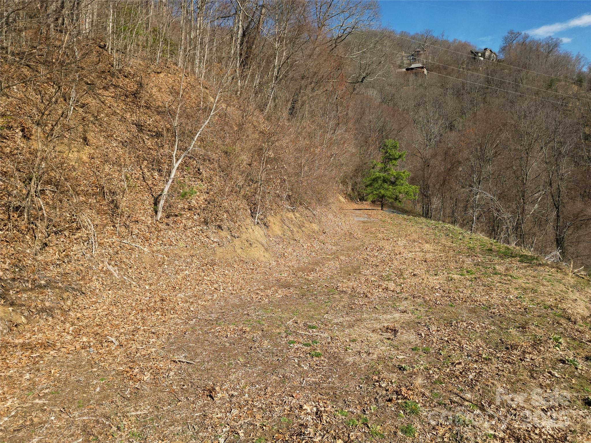 0 Rimesdale Way, Unit 36 Waynesville, NC 28785 - Photo 7 of 22