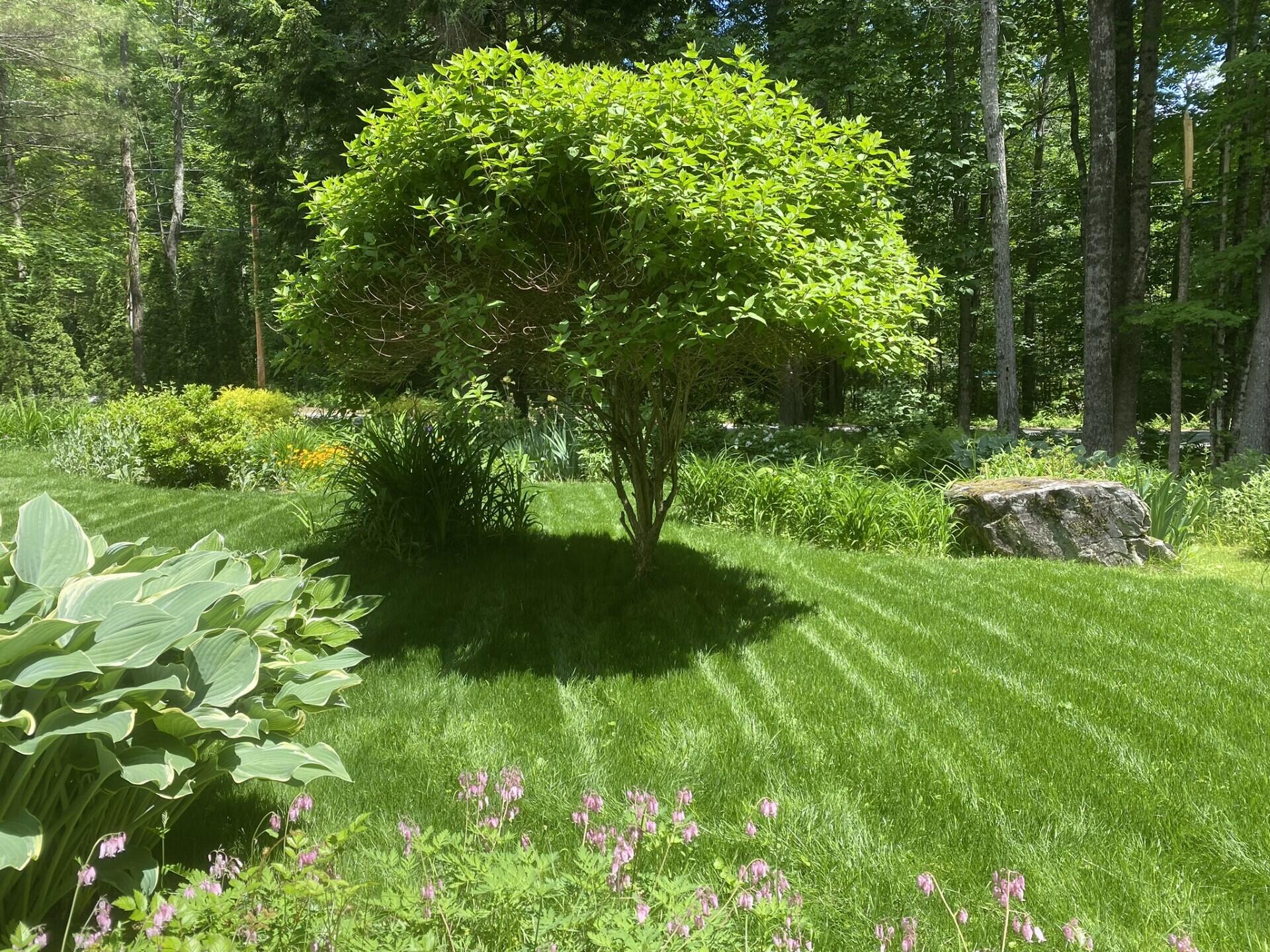 93 Spear Road Standish, ME 04084 - Photo 52 of 57 thumbnail_0457EF11-8164-45AE-8261-4D79B3