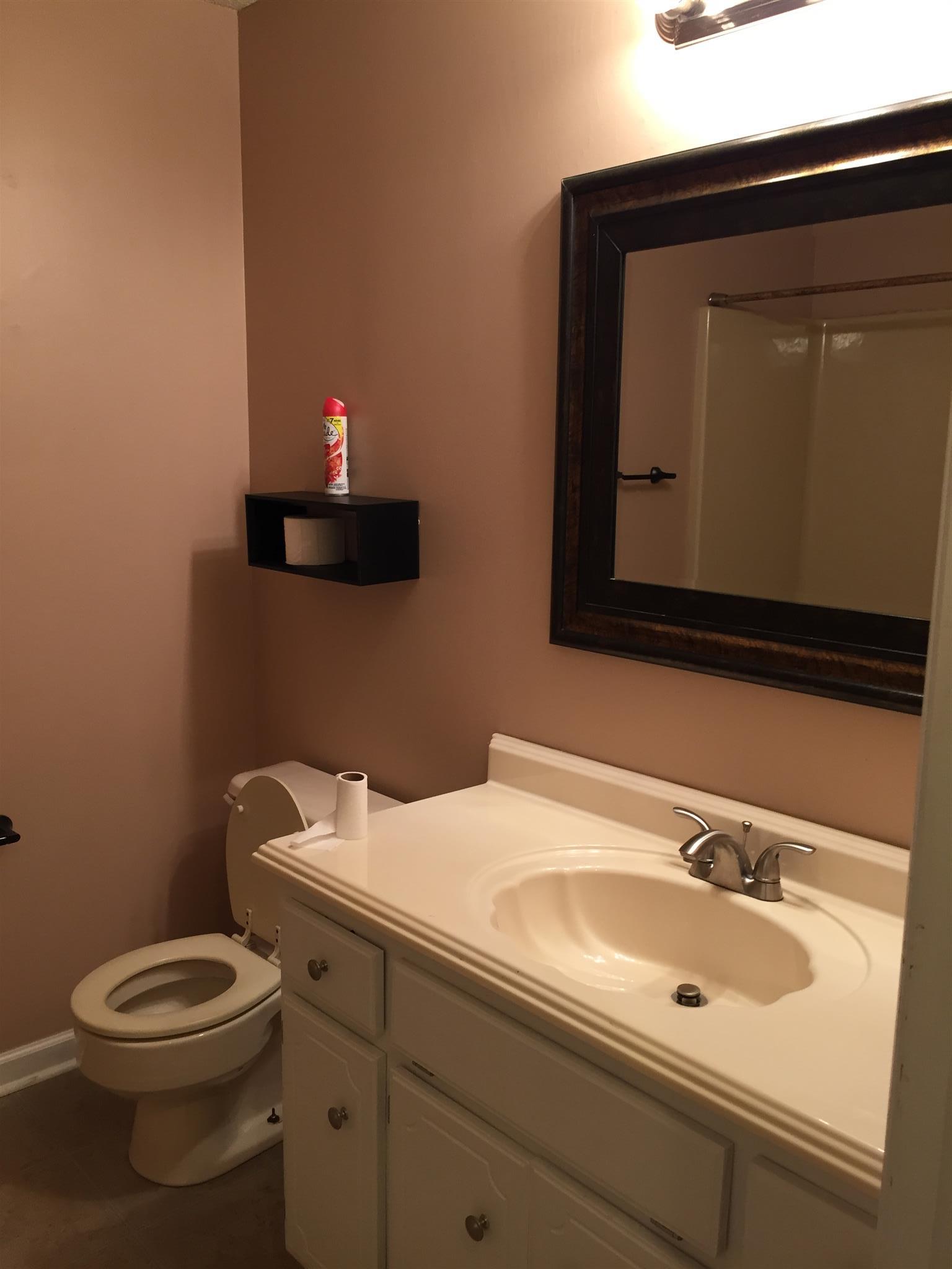 125 Chapel Road Tullahoma, TN 37388 - Photo 6 of 11 Hall bathroom