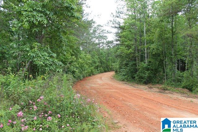 Bill Price Road, Unit 78 Dadeville, AL 36853 - Photo 3 of 7