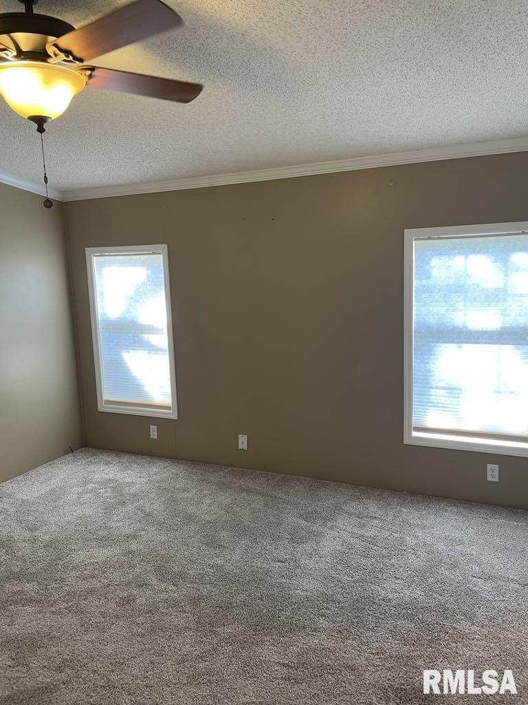503 East Matthew Street Sesser, IL 62884 - Photo 16 of 17 Gallery Image 16