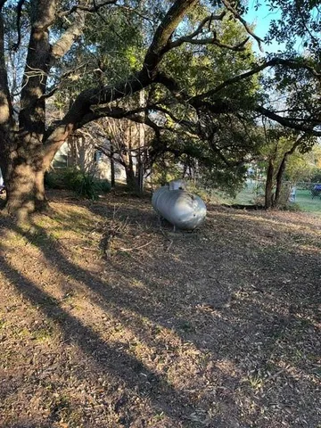 a view of a trees in a yard