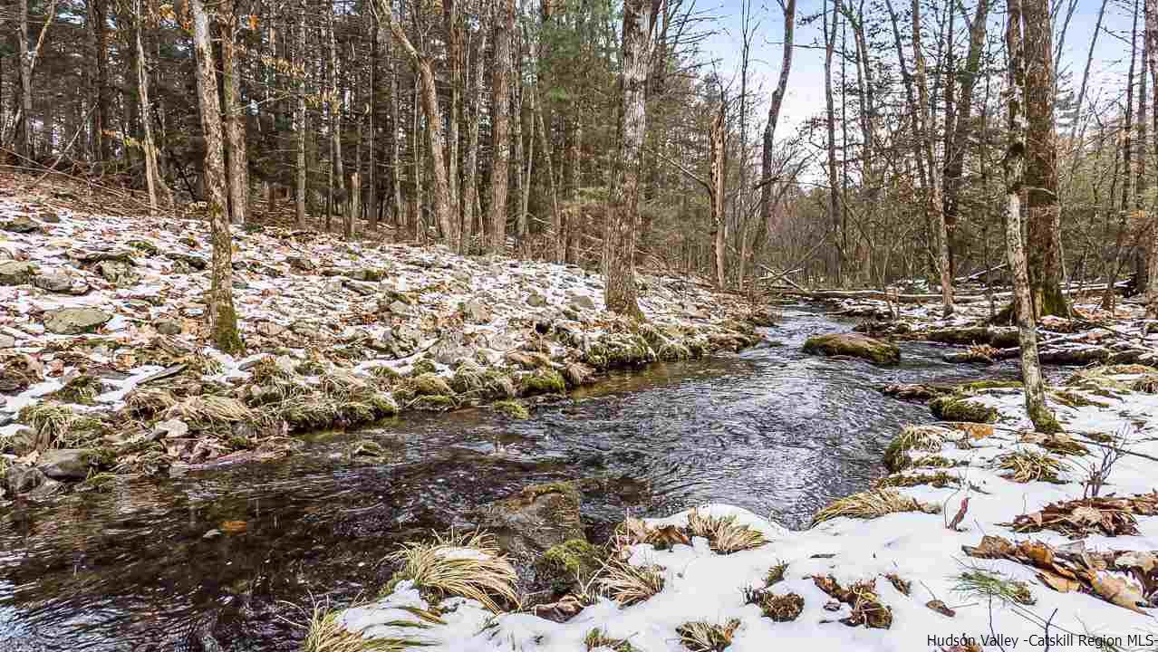 271 Scarawan Road Stone Ridge, NY 12484 - Photo 3 of 27 a view of a large yard with lots of trees