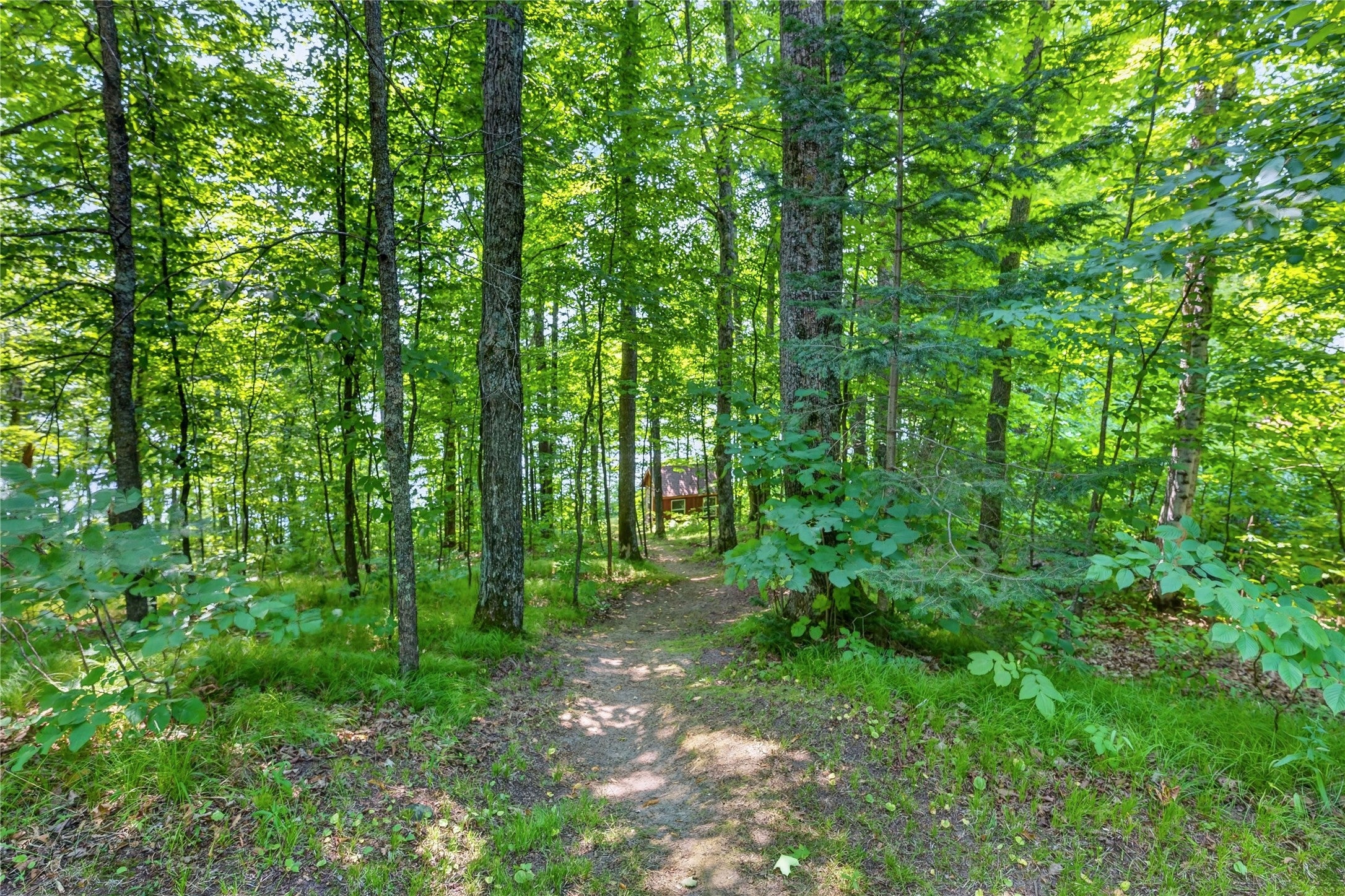 6925 W Hemlock Haven Road Winter, WI 54896 - Photo 34 of 42