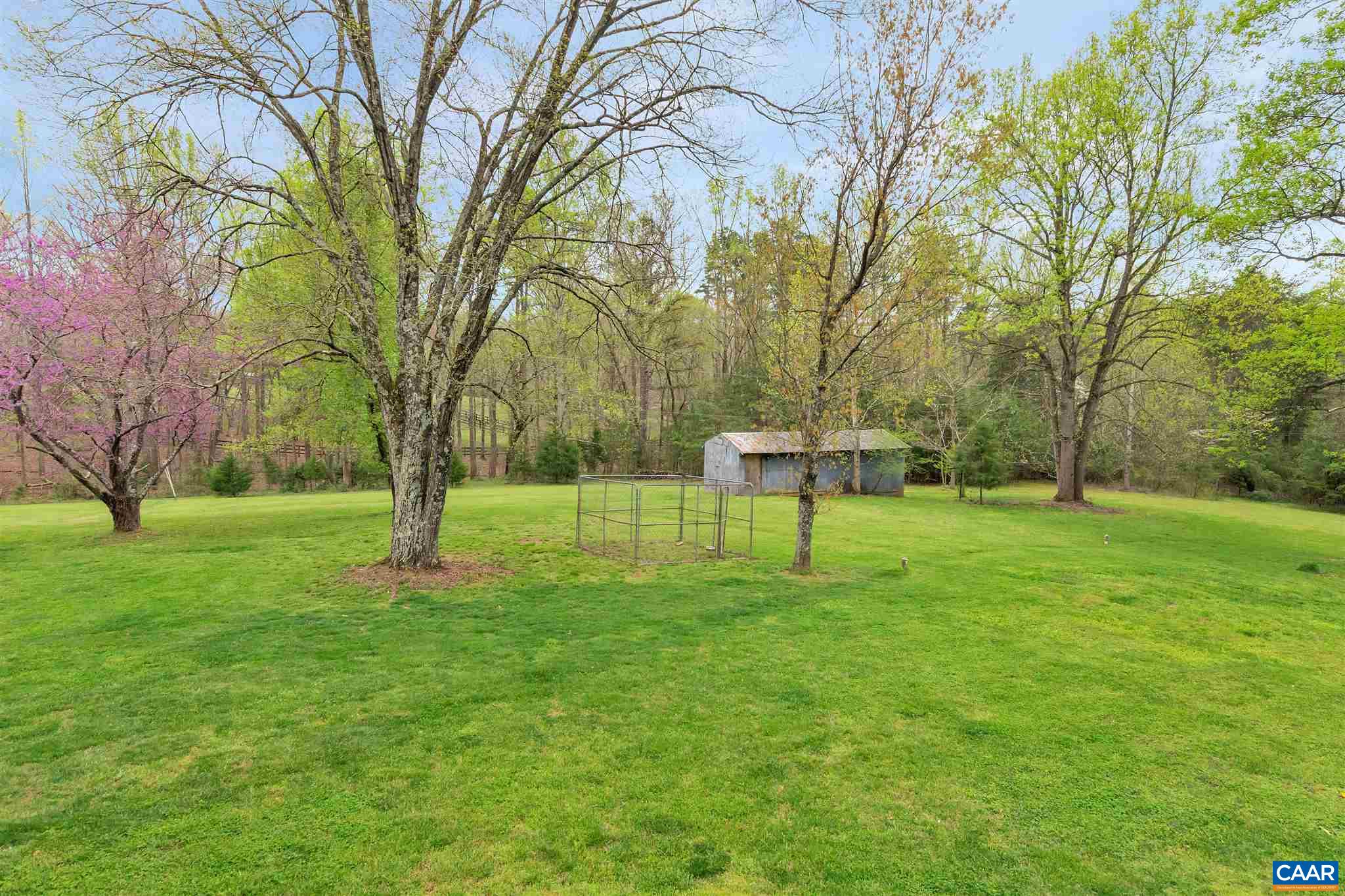 1152 Beaverdam Road Keswick, VA 22947 - Photo 36 of 41 a view of a tree in a yard